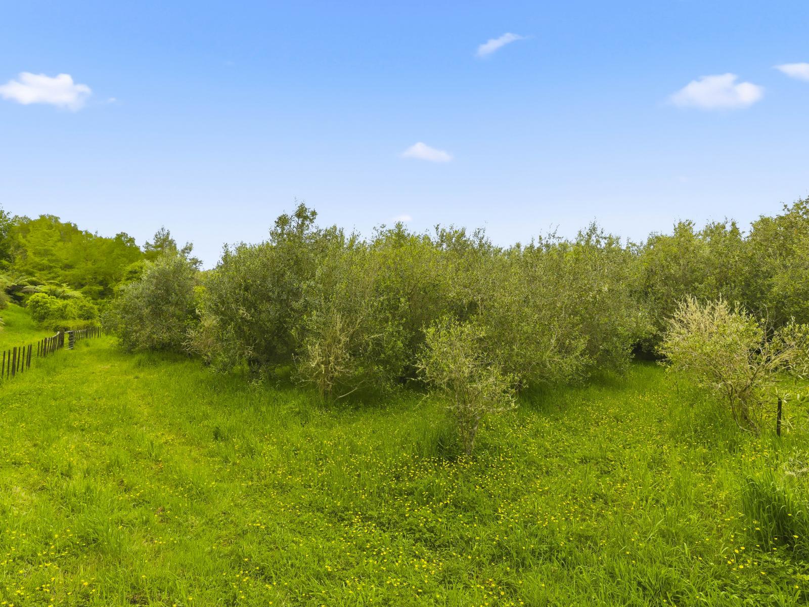 258 Waitohu Valley Road, Otaki