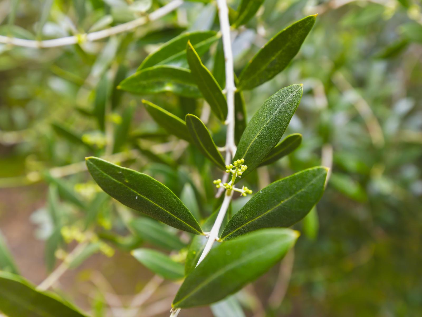 258 Waitohu Valley Road, Otaki