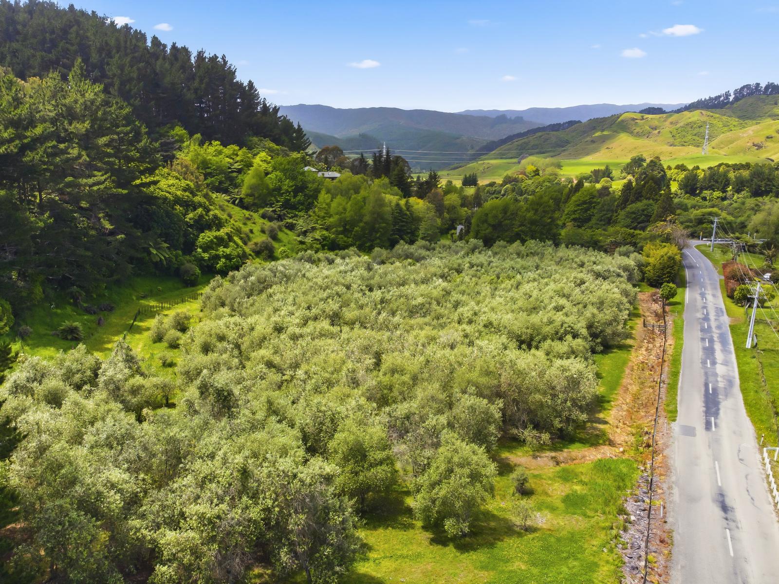 258 Waitohu Valley Road, Otaki