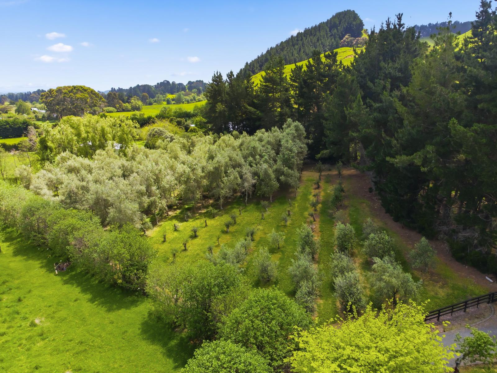 258 Waitohu Valley Road, Otaki