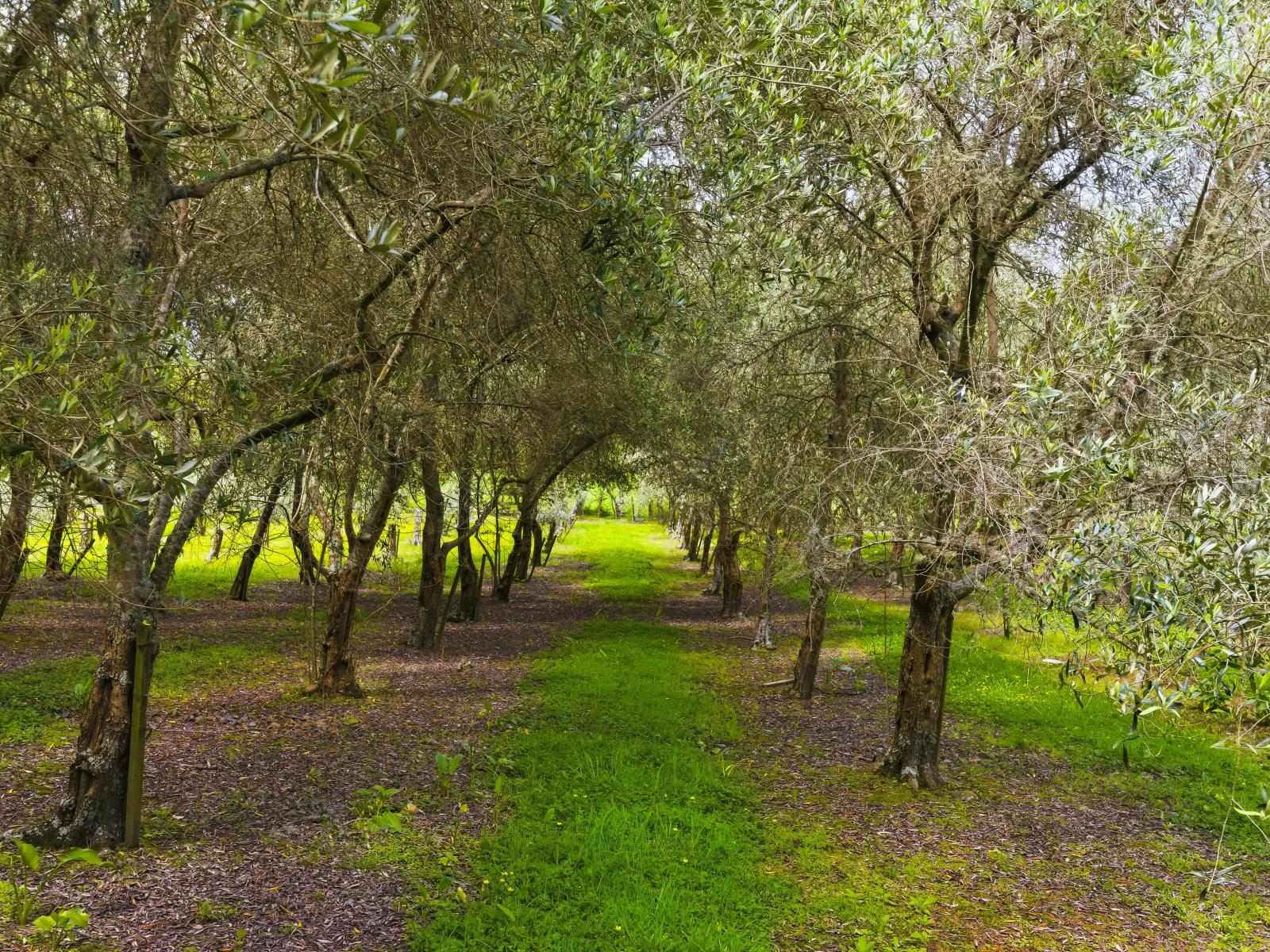 258 Waitohu Valley Road, Otaki
