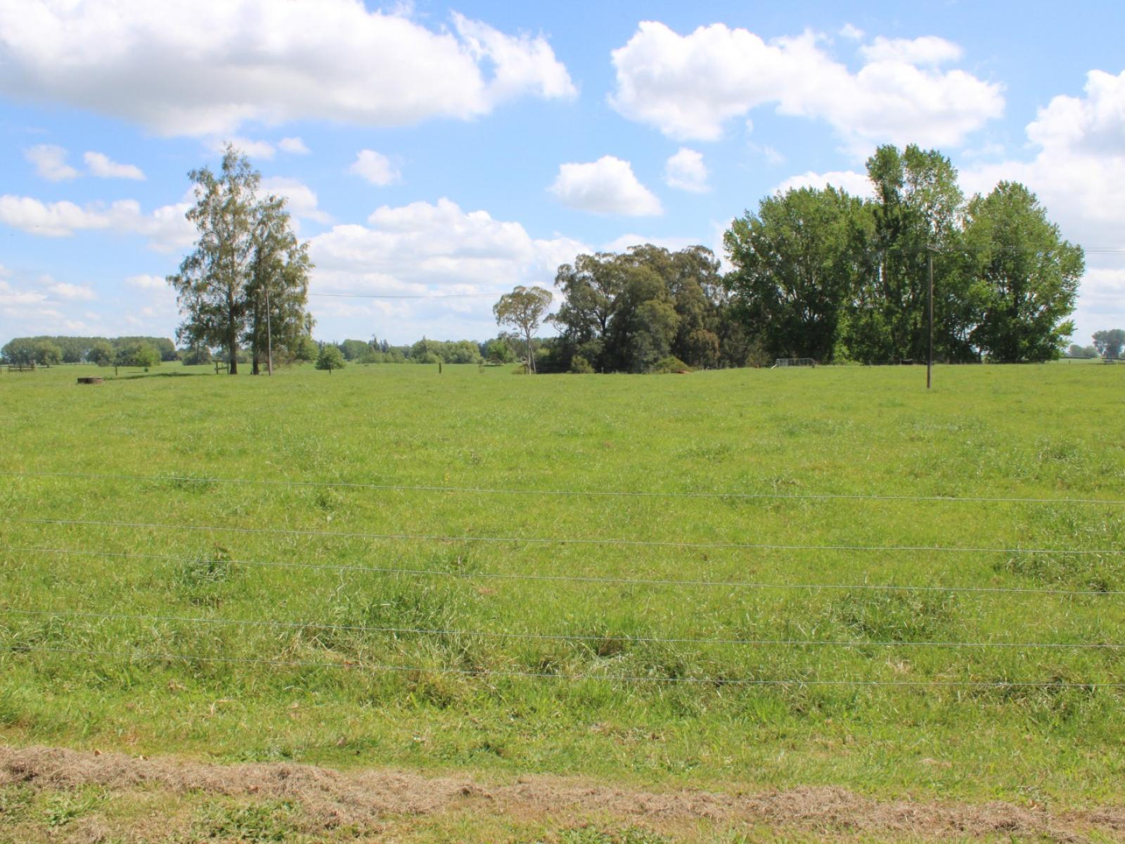 Lot 1 - 28 Brown Road, Te Poi