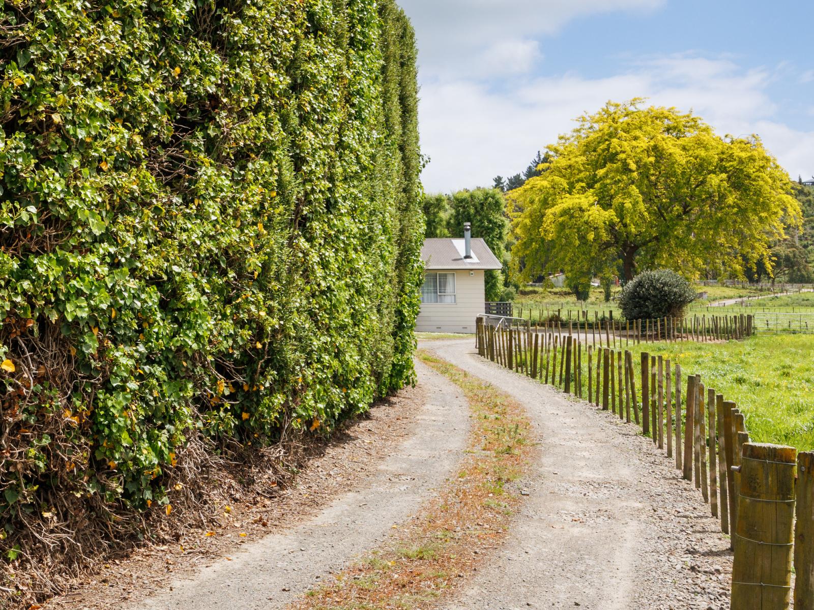 823 Napier Road, Whakarongo