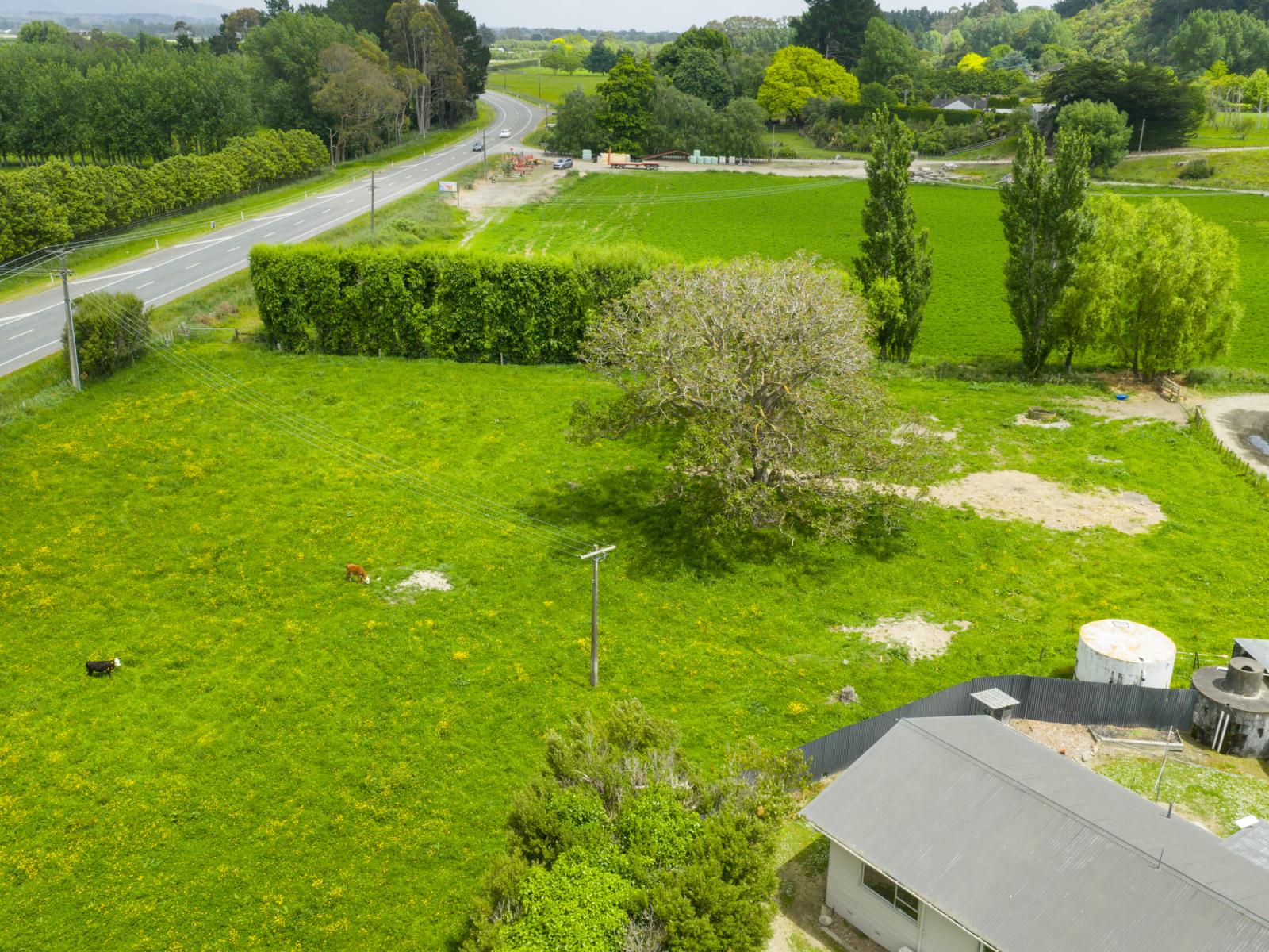 823 Napier Road, Whakarongo