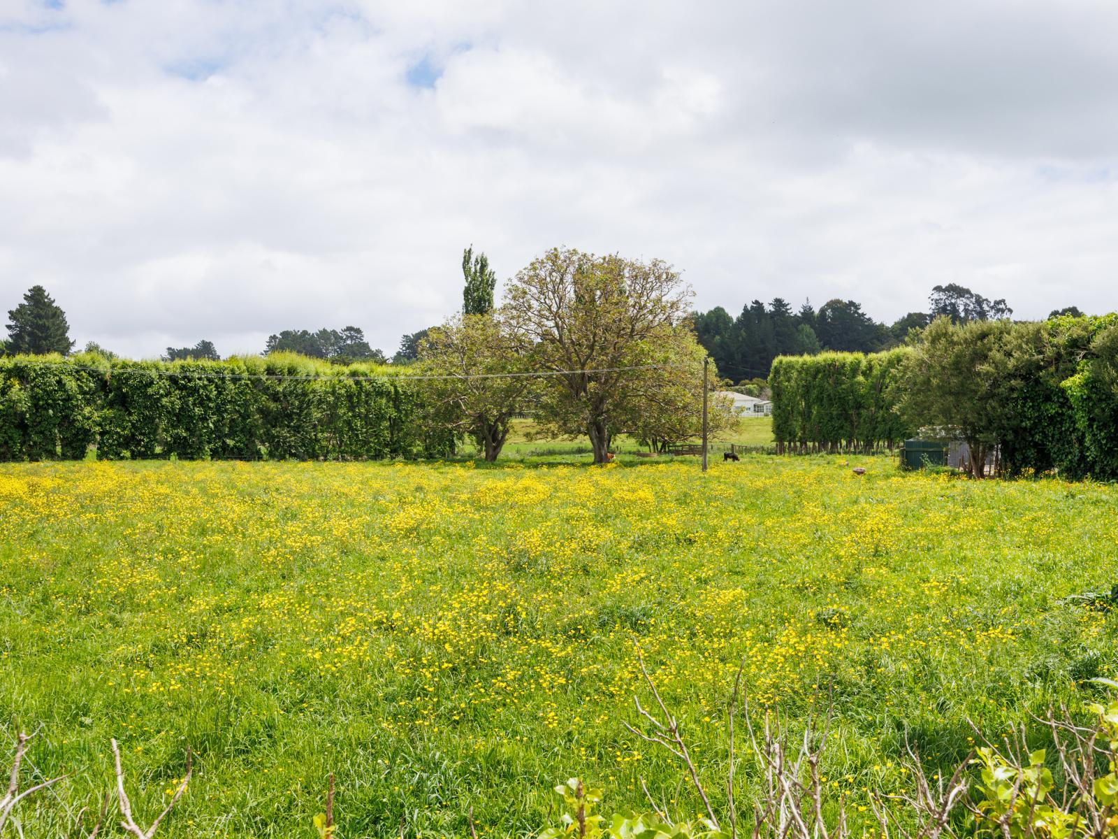 823 Napier Road, Whakarongo