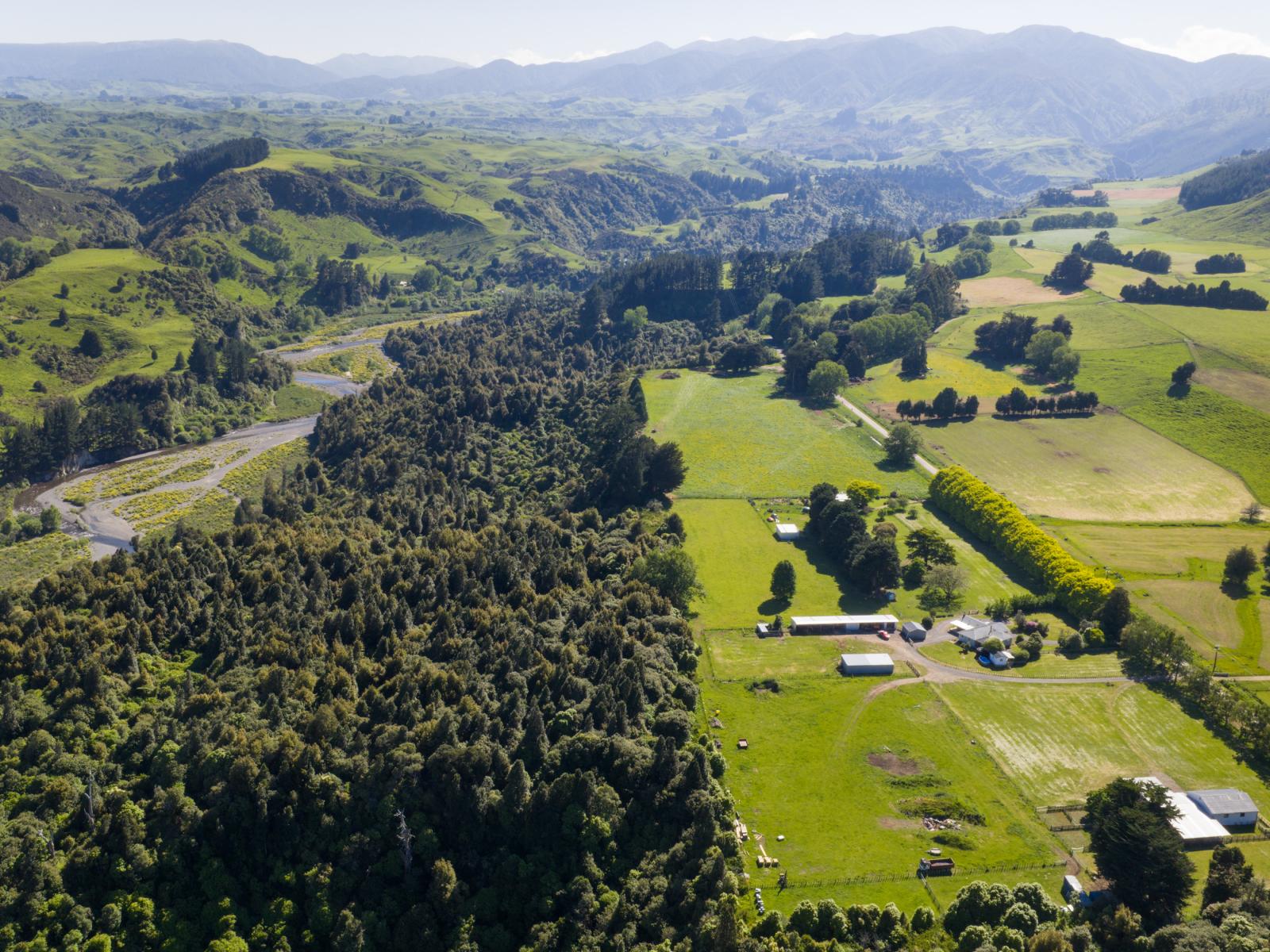 2373 Pohangina Valley East Road, Pohangina Valley