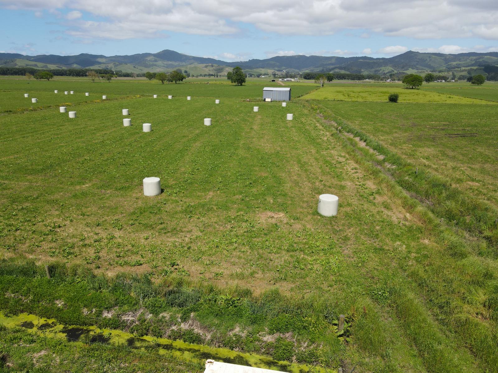 1262 Kaihere Road, Ngatea