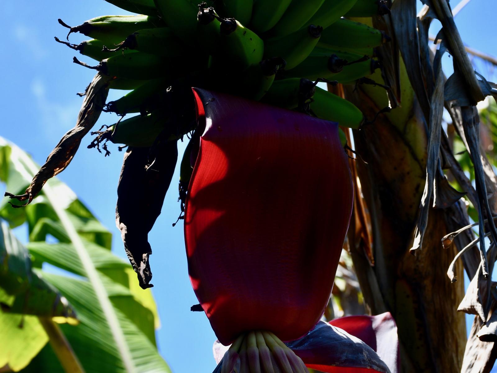 7 Hunter Street, Karamea