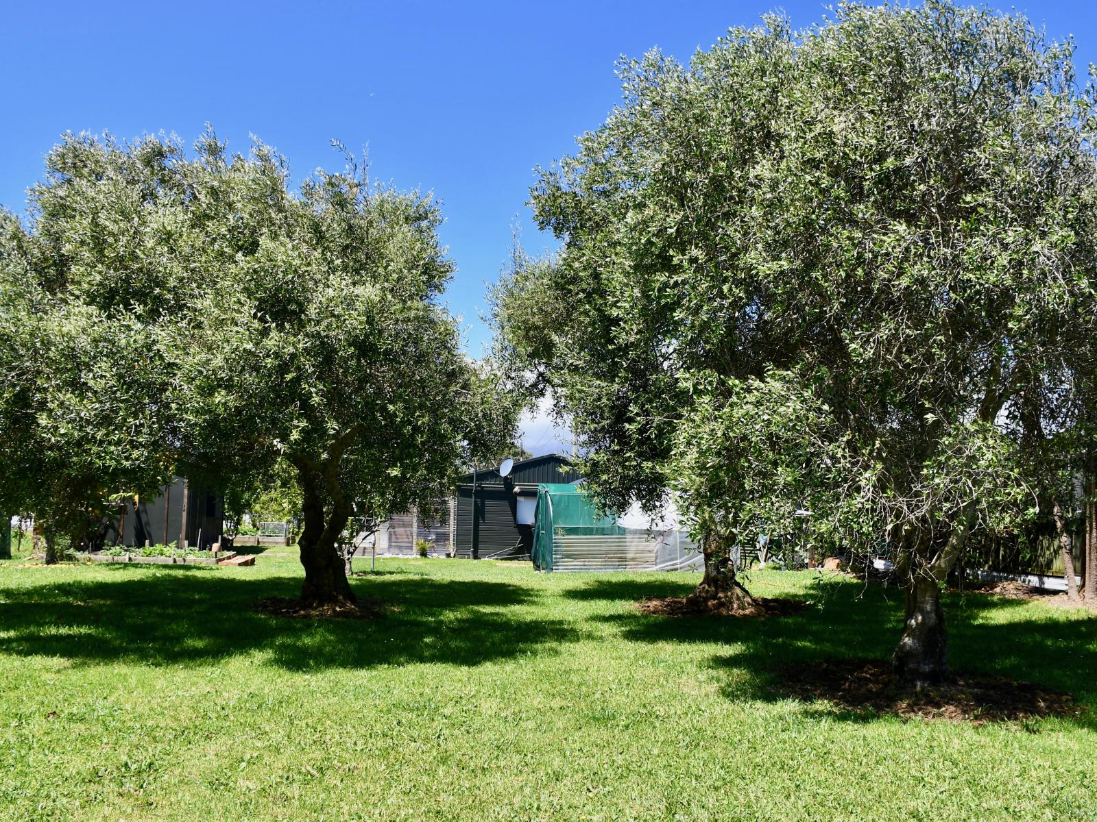 7 Hunter Street, Karamea