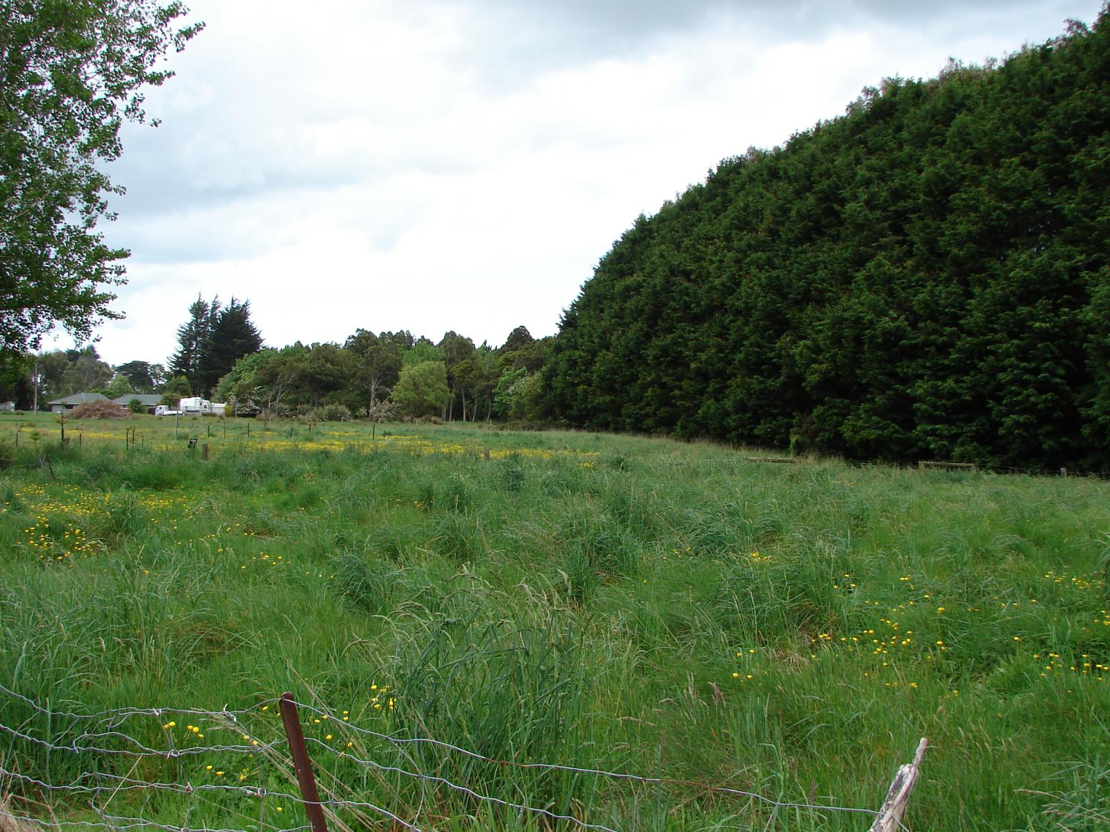 210 Drysdale Road, Myross Bush