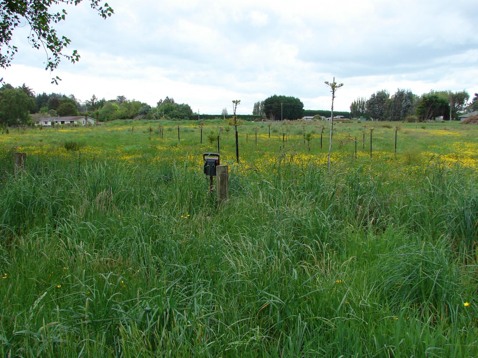 210 Drysdale Road, Myross Bush