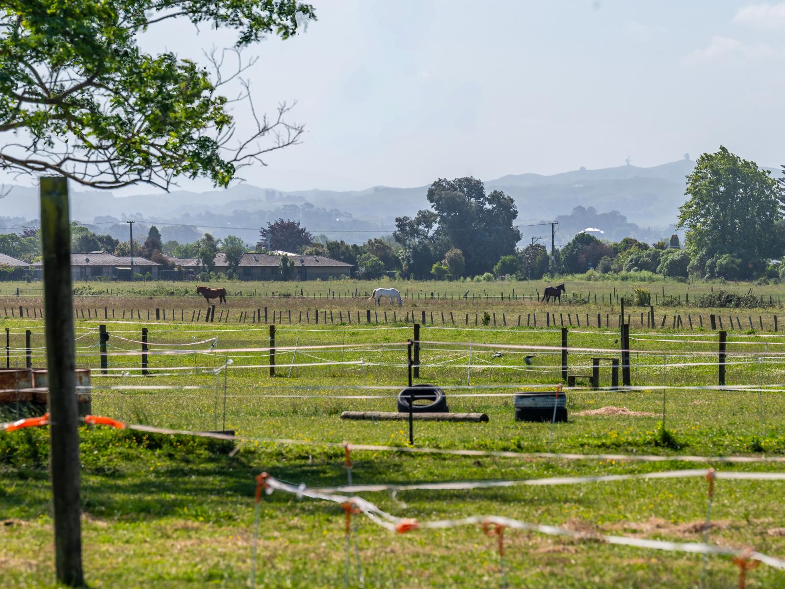 13 The Loop, Meeanee