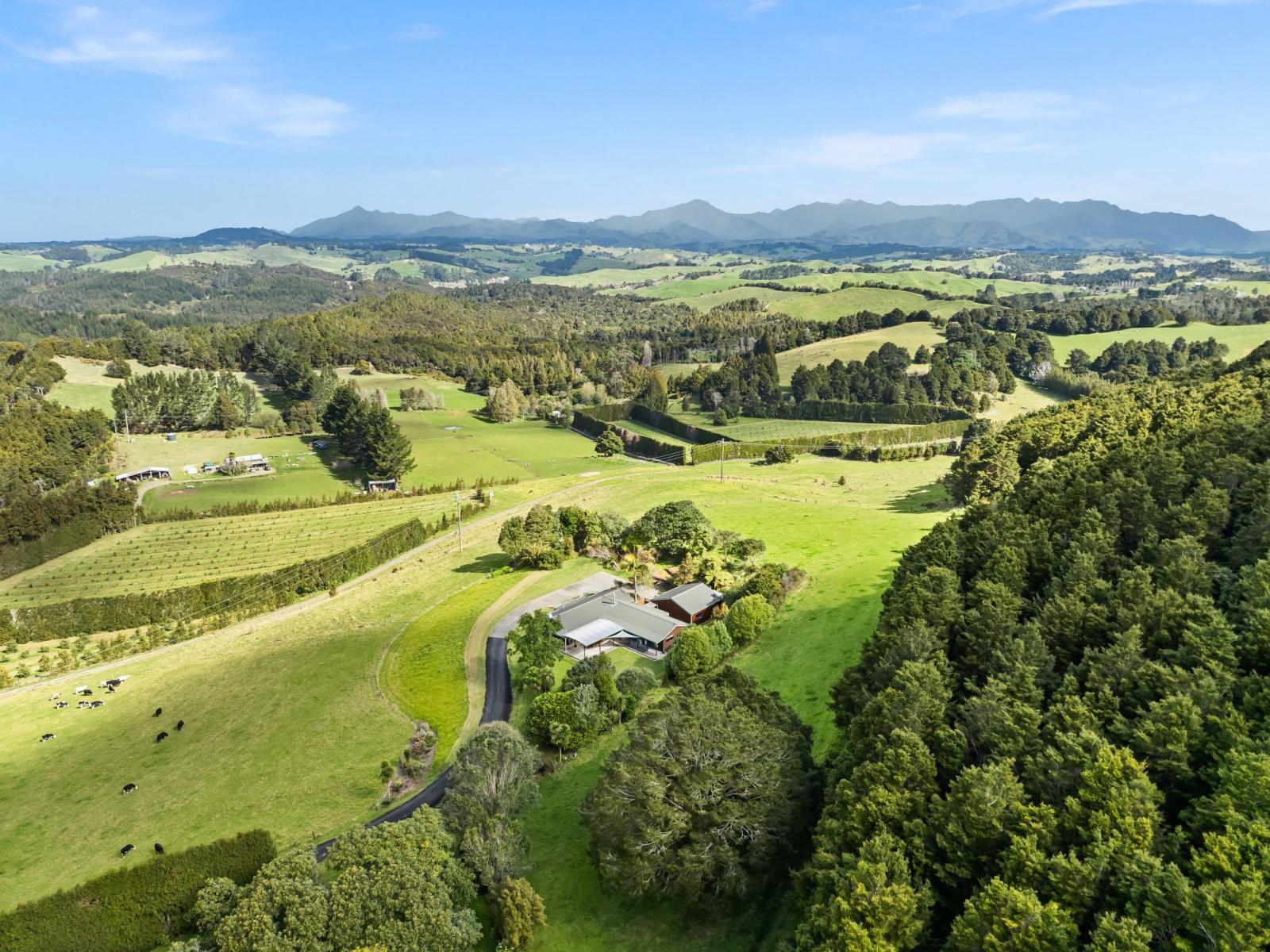 39 Elmsley Road, Maungatapere