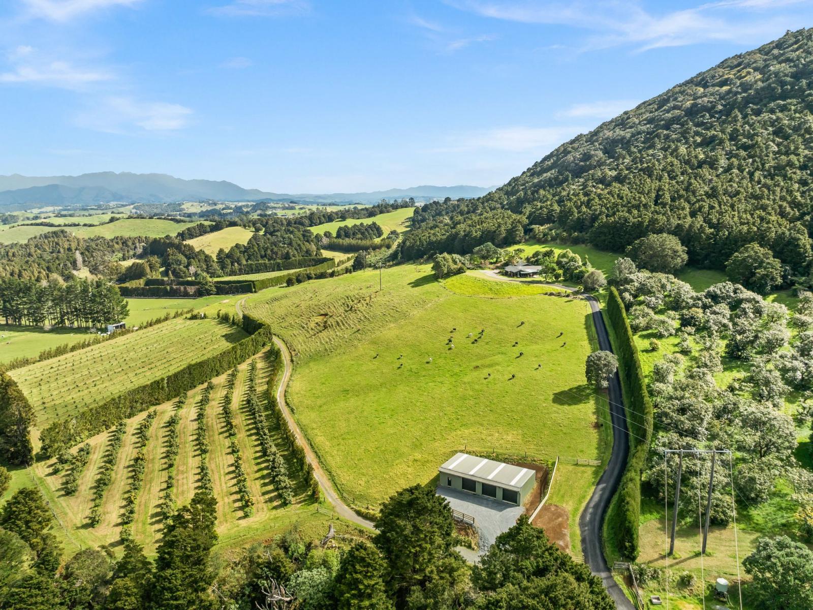 39 Elmsley Road, Maungatapere