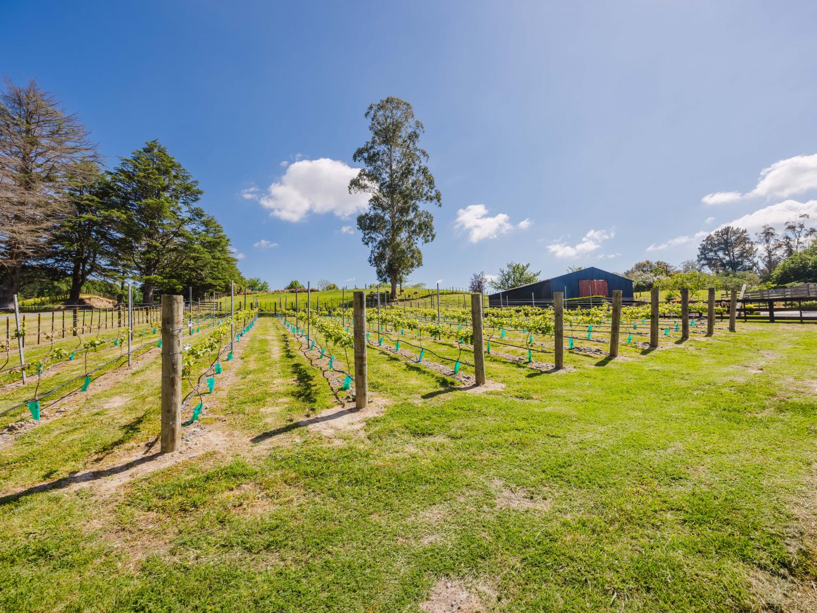 4 Cemetery Road, Waipawa
