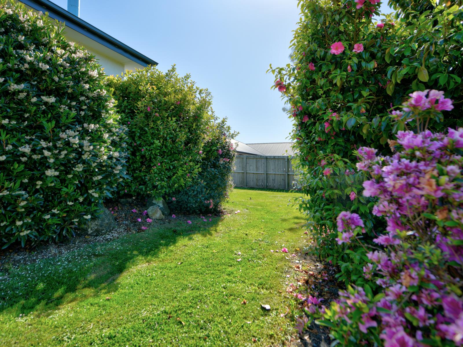 33 Thomas Street, Gore