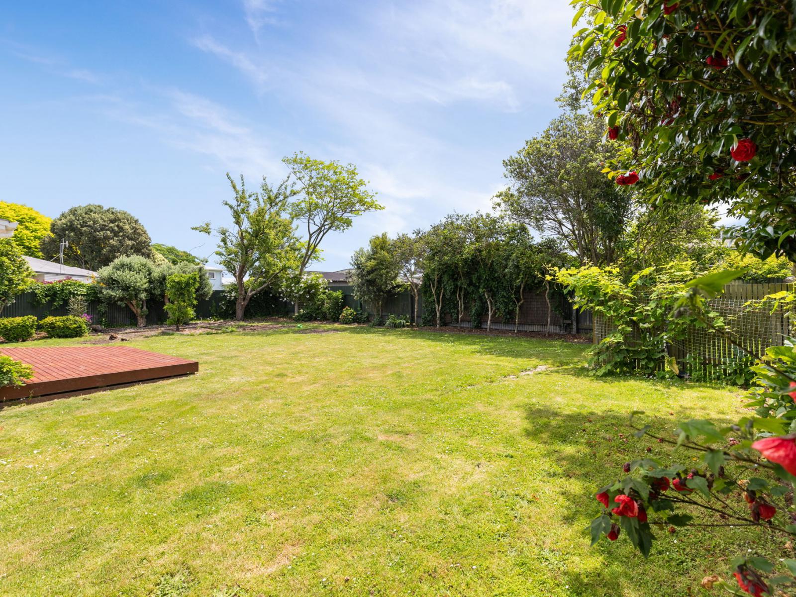 6 Belgrave Place, Awapuni