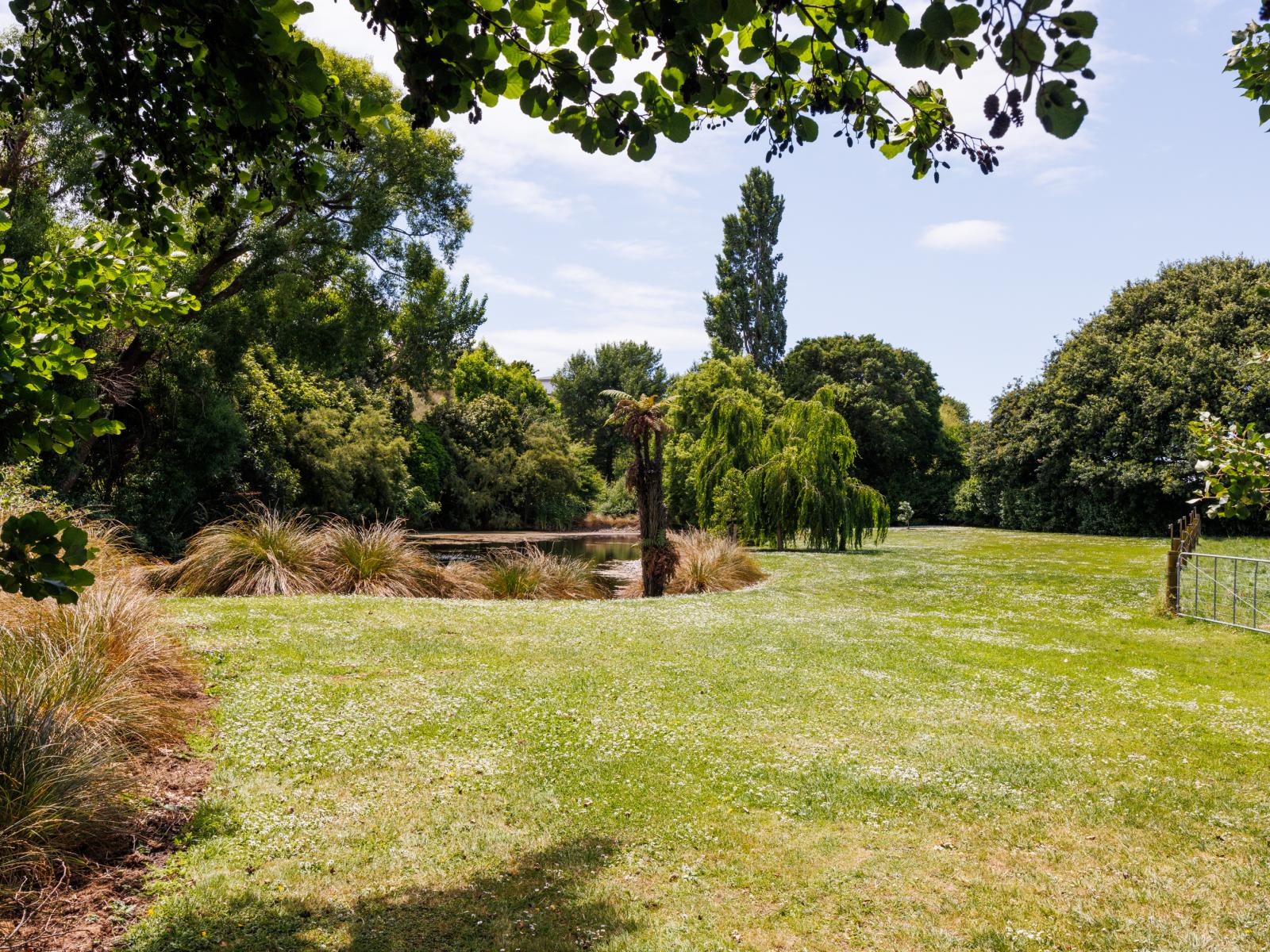 291 Napier Road, Kelvin Grove