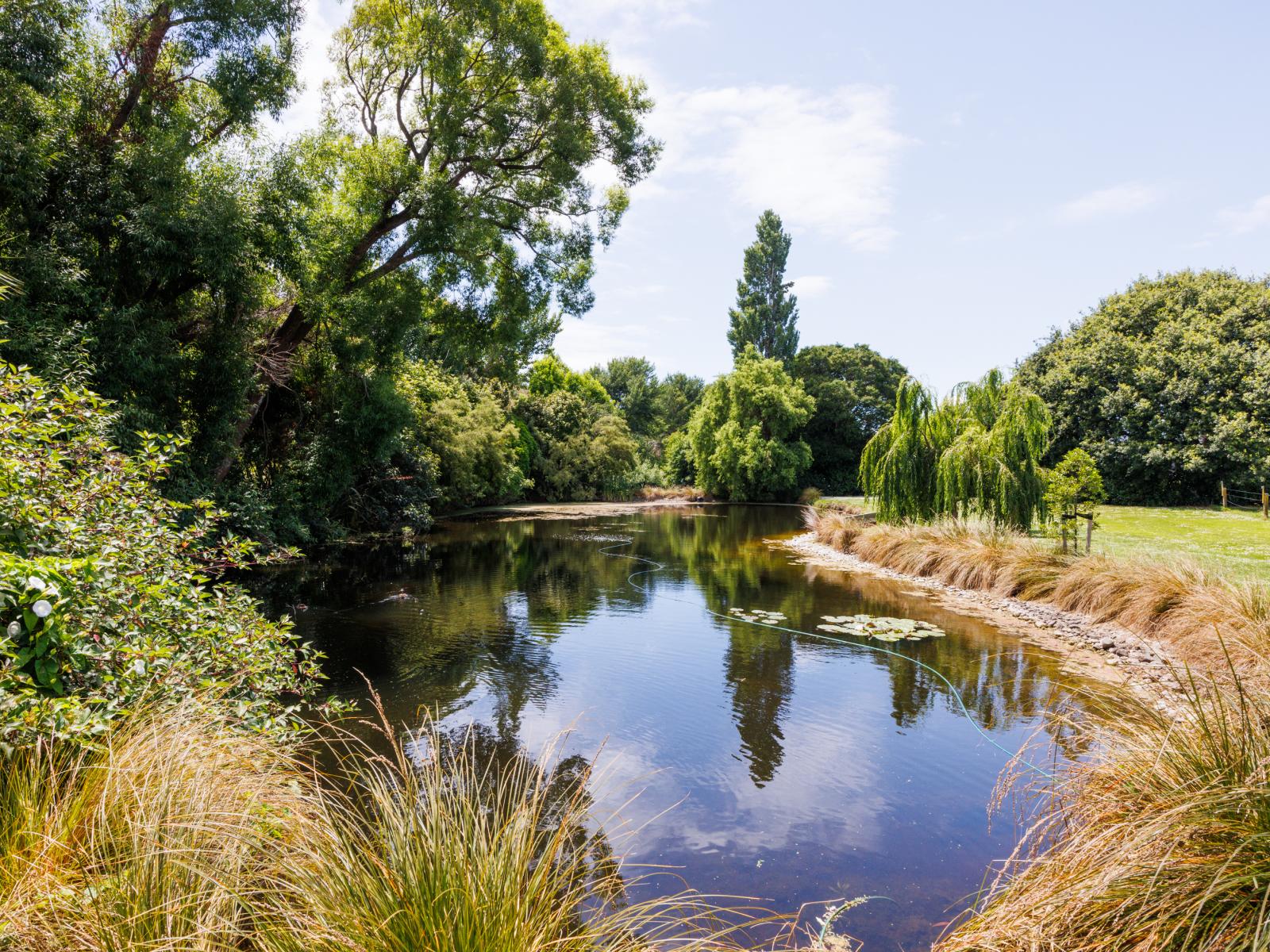 291 Napier Road, Kelvin Grove