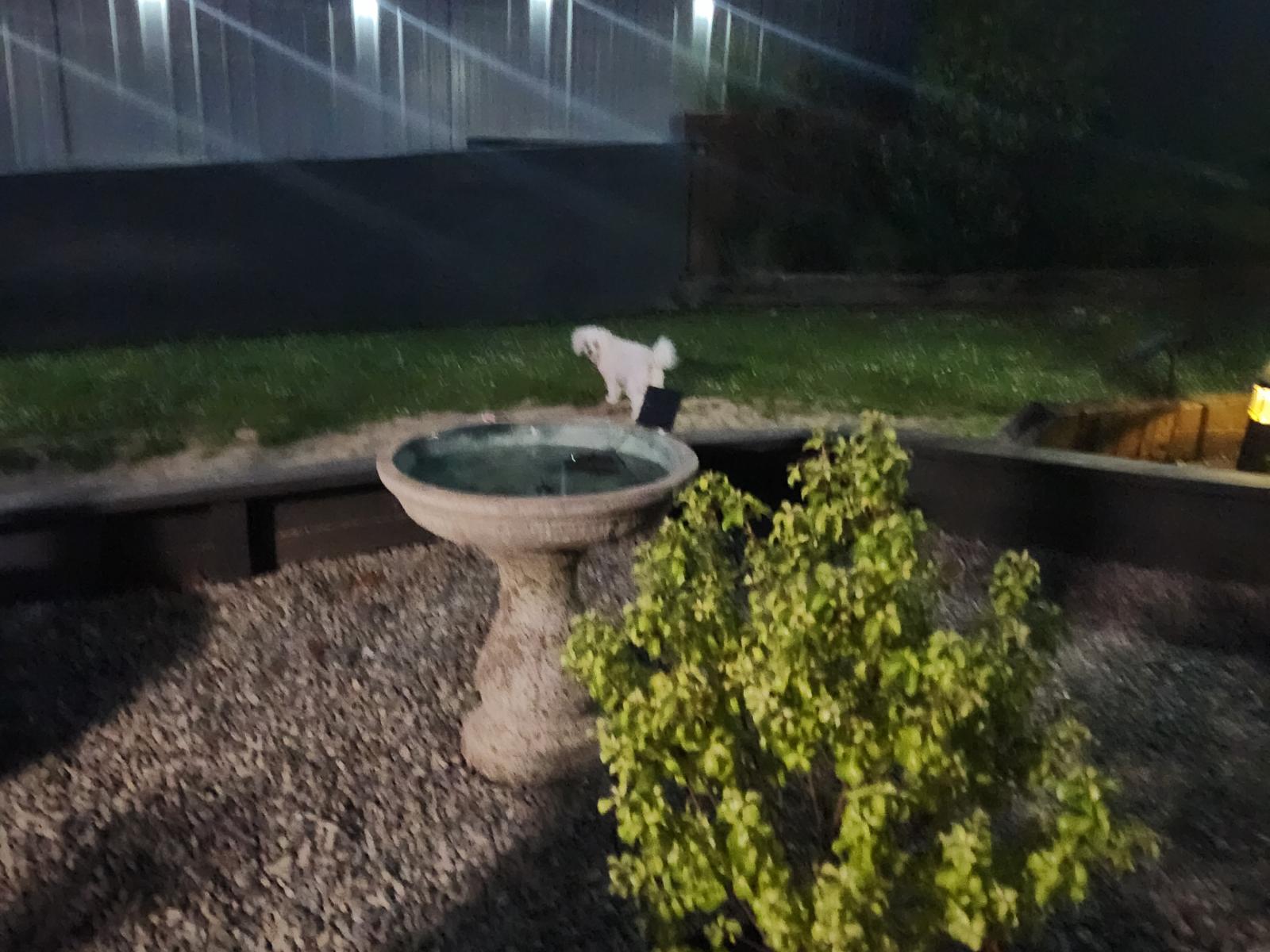 46B Edward Street, Pahiatua