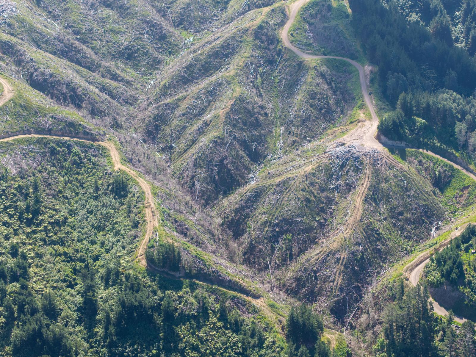 170 Mangaone North Road, Te Horo