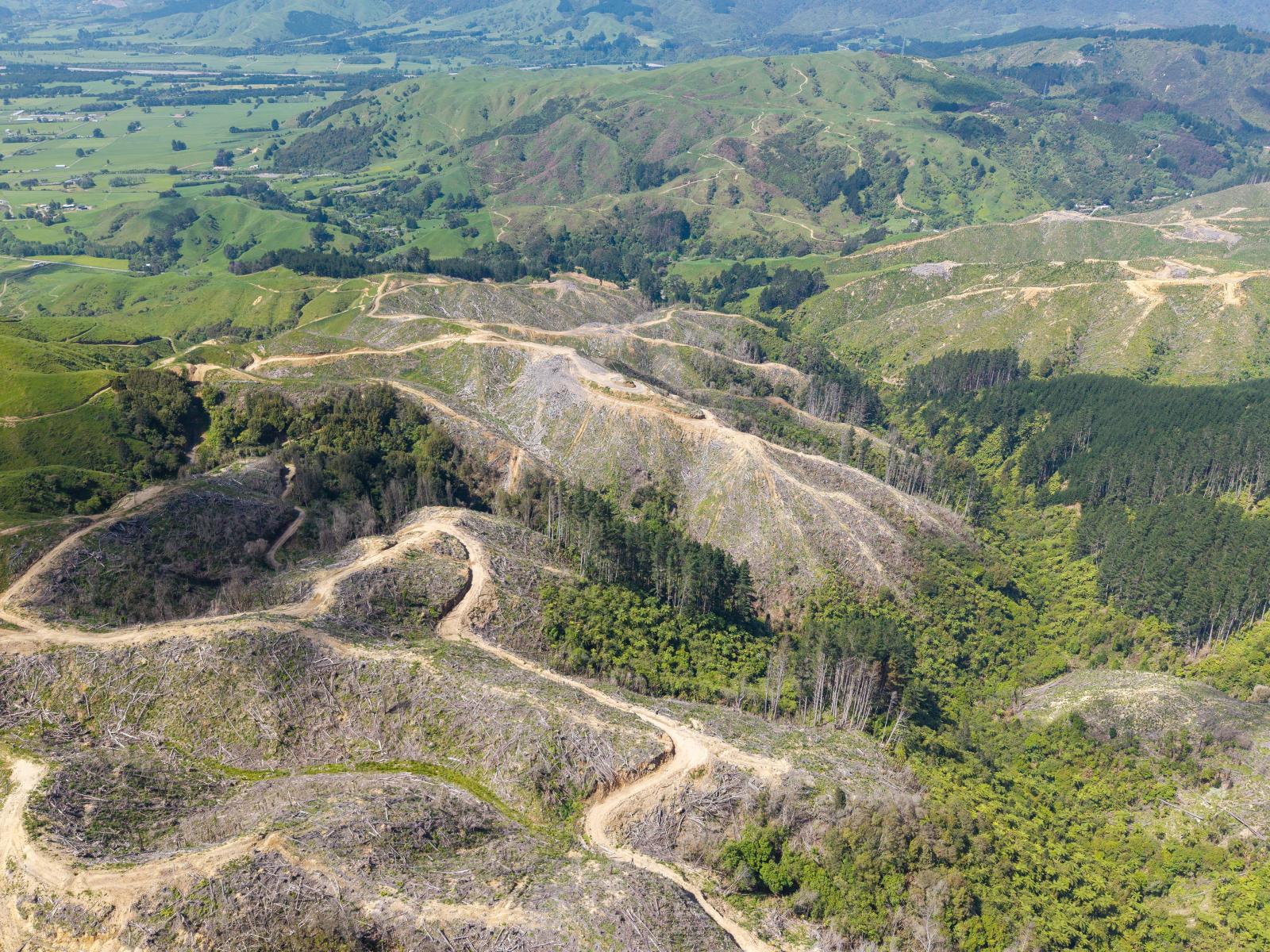 170 Mangaone North Road, Te Horo