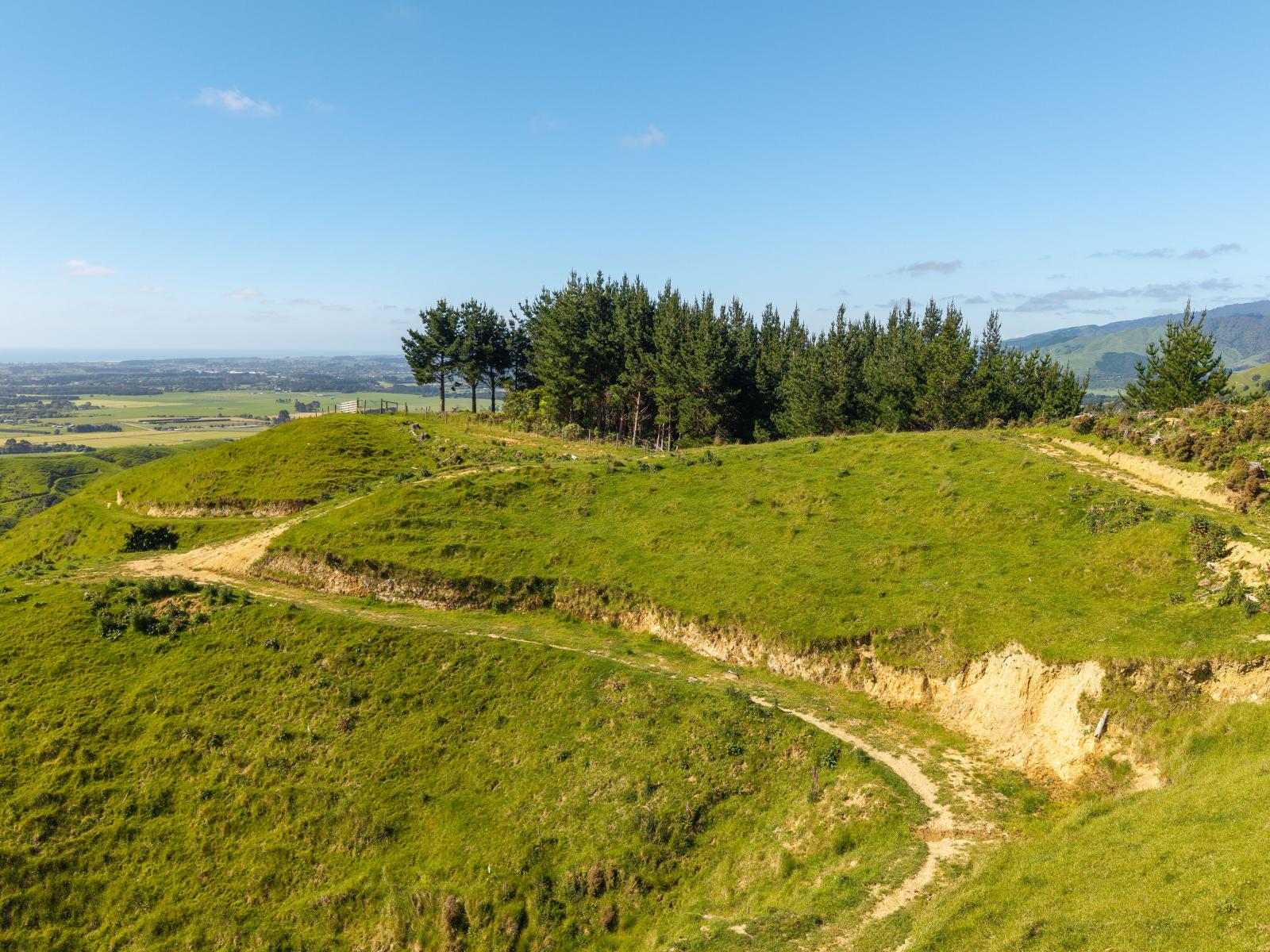 170 Mangaone North Road, Te Horo