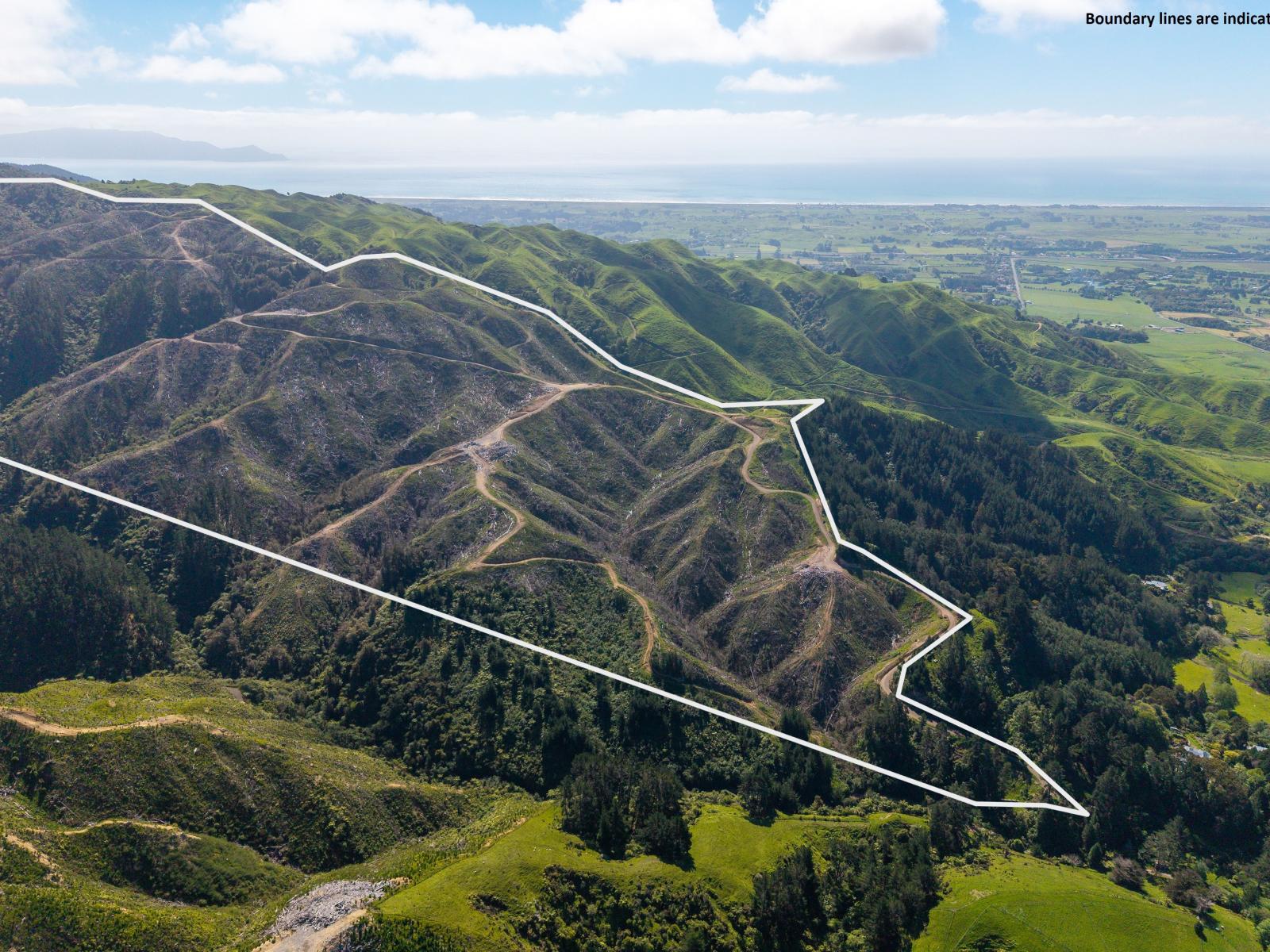 170 Mangaone North Road, Te Horo