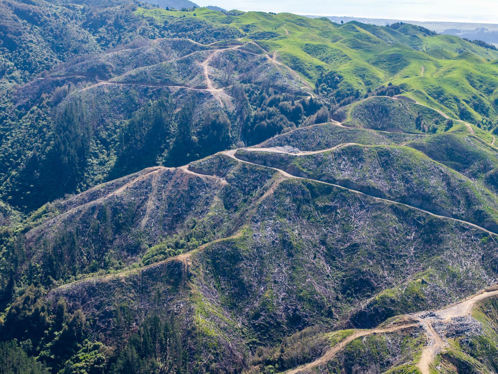 170 Mangaone North Road, Te Horo