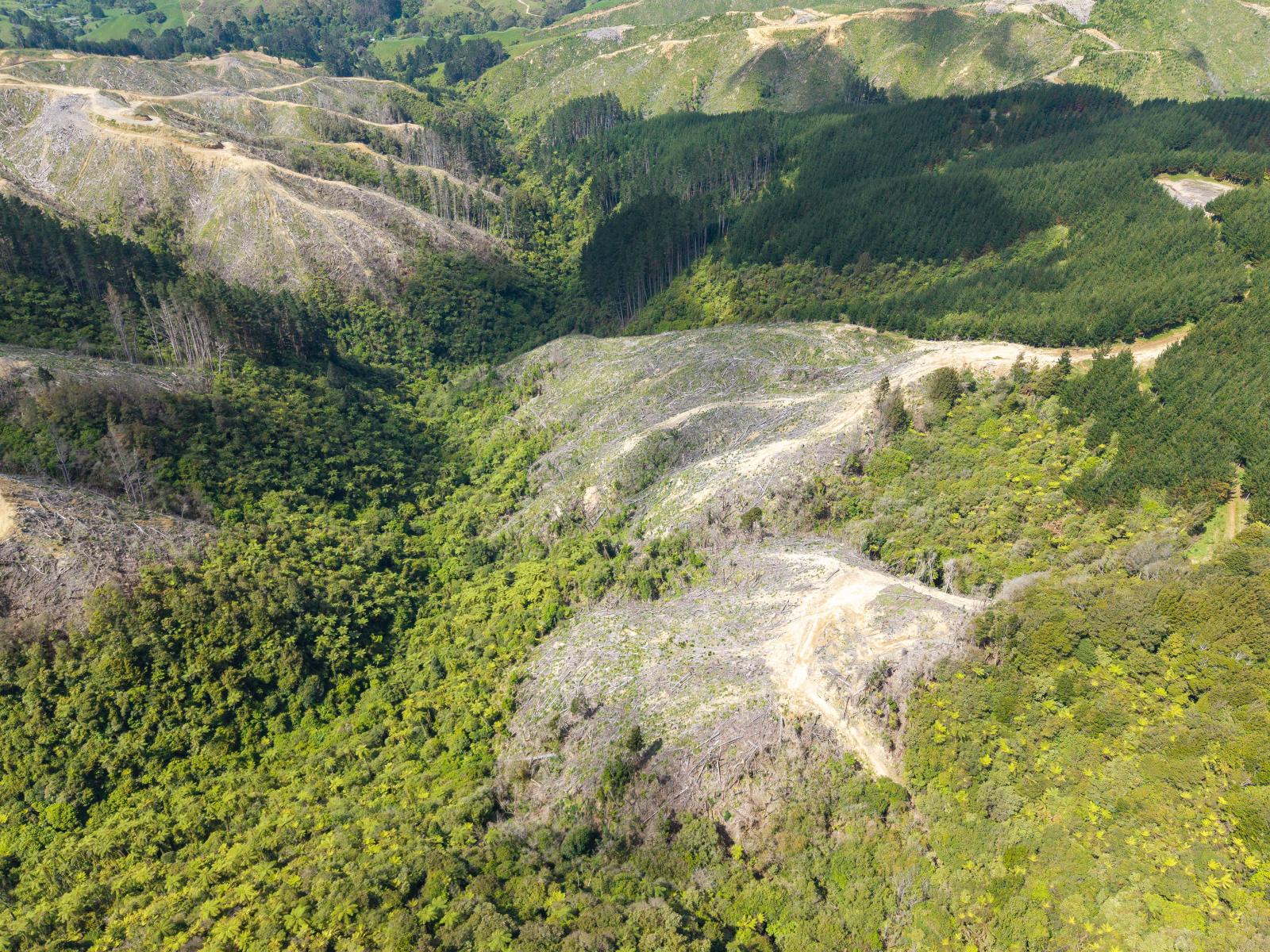 170 Mangaone North Road, Te Horo