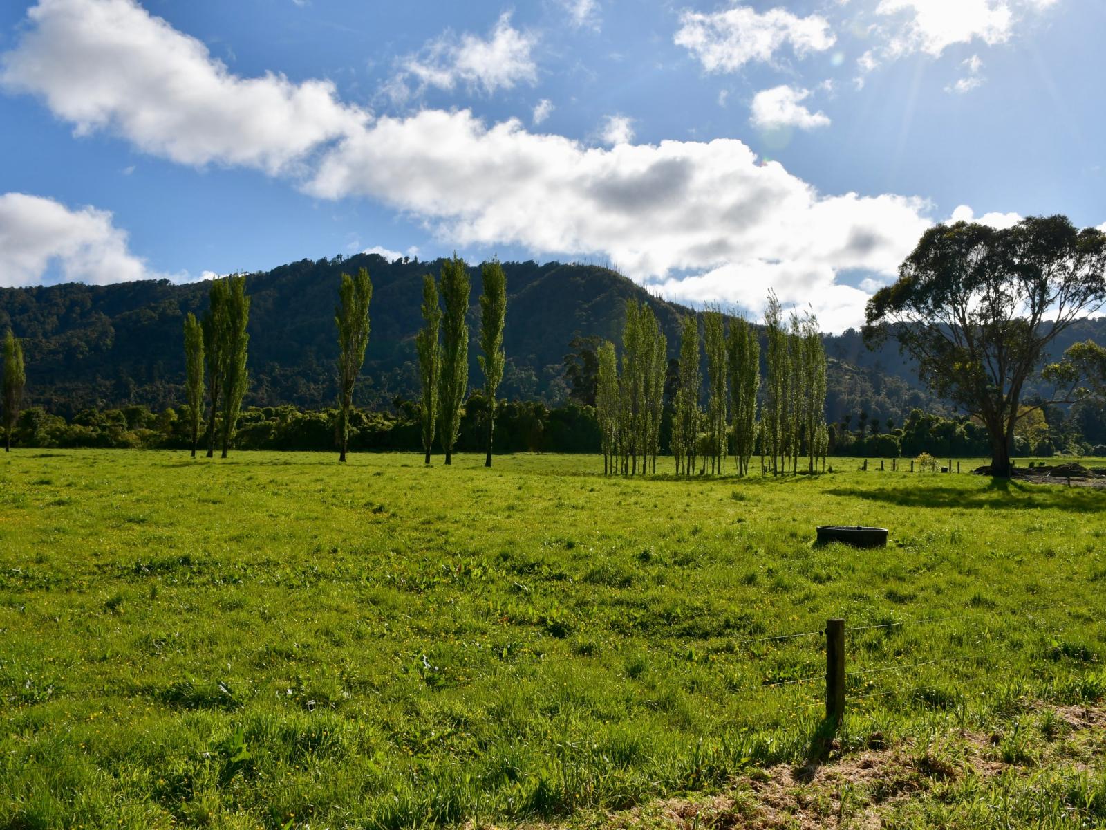 302 Kohaihai Road, Karamea
