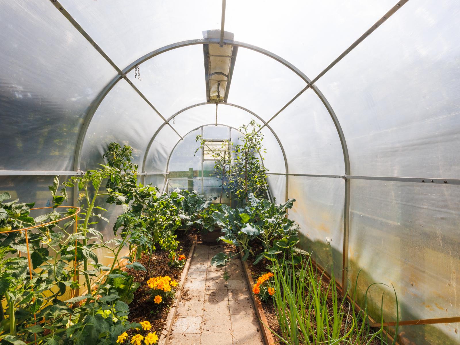 851 Milson Line, Newbury