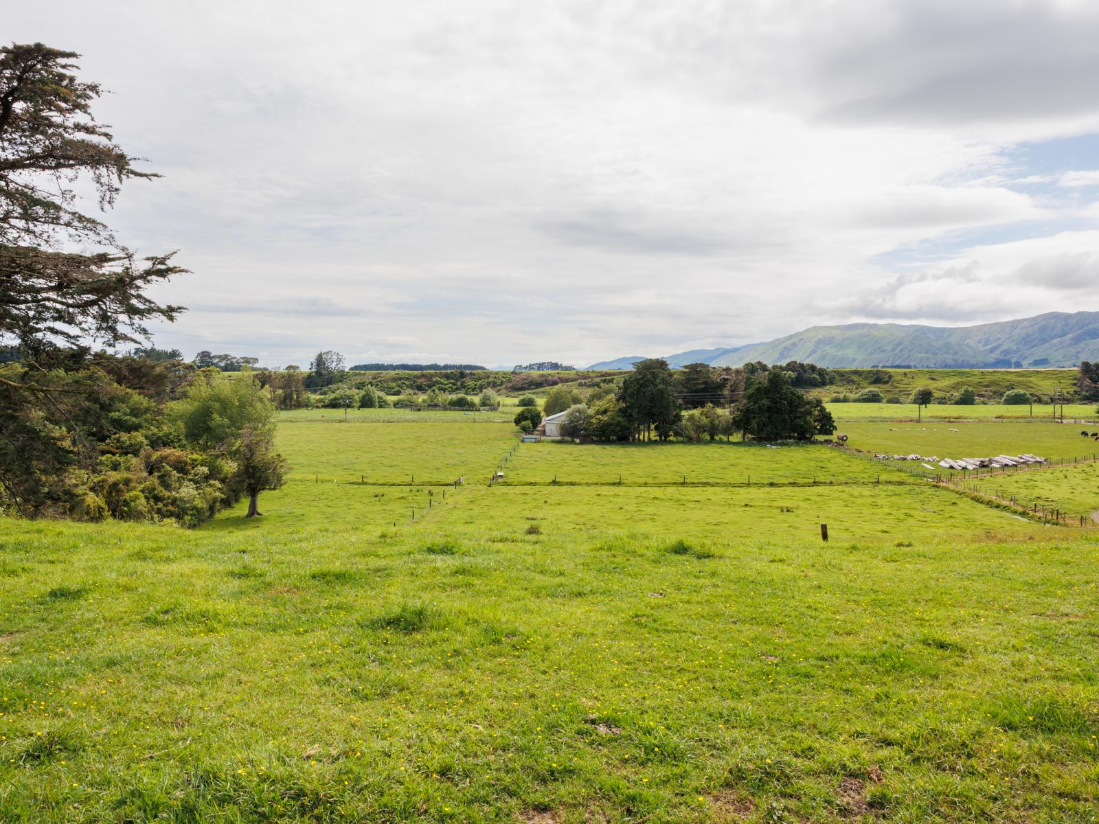 71 Engles Road, Shannon