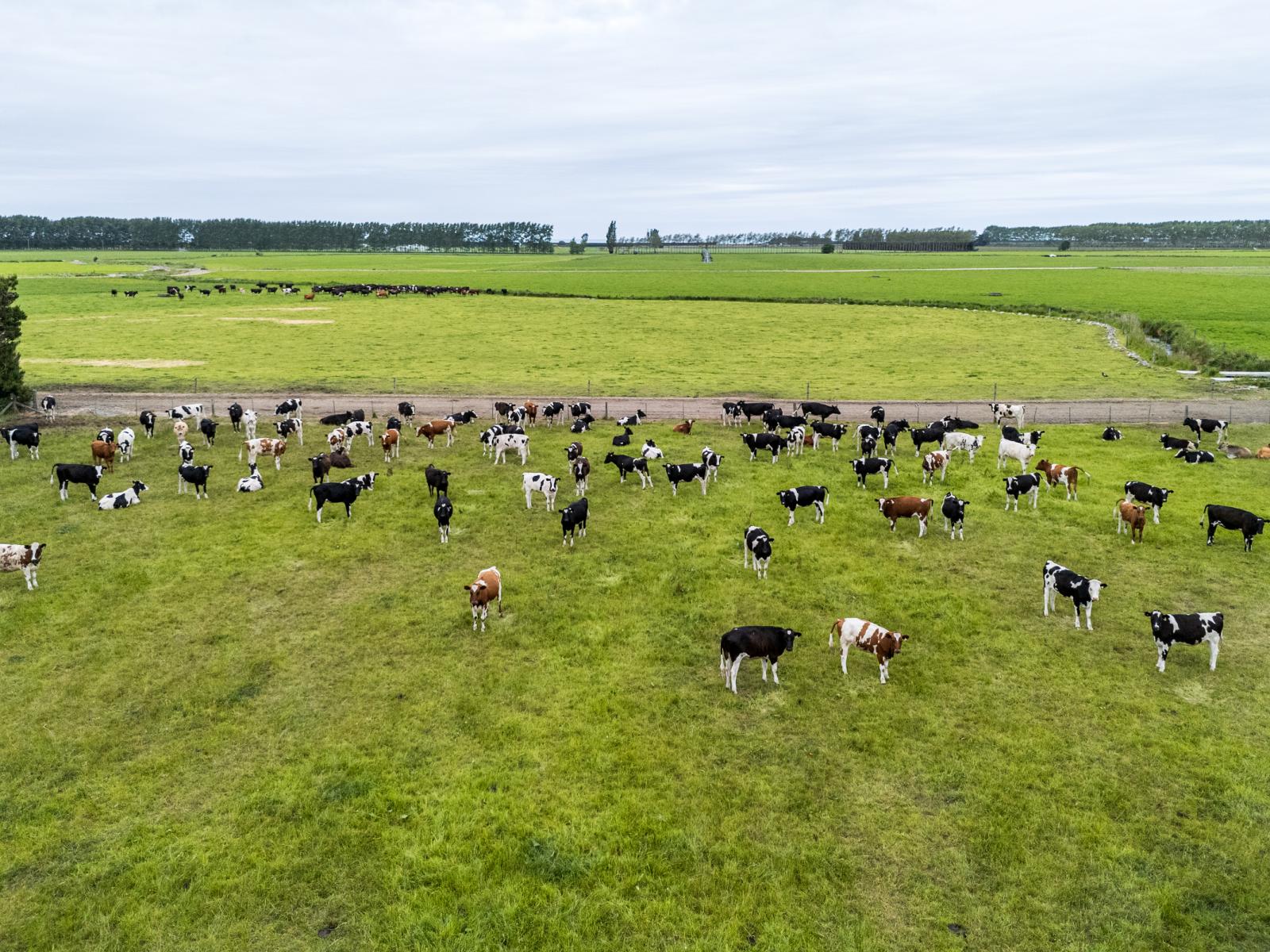 94 Brogdens Road, Lowcliffe