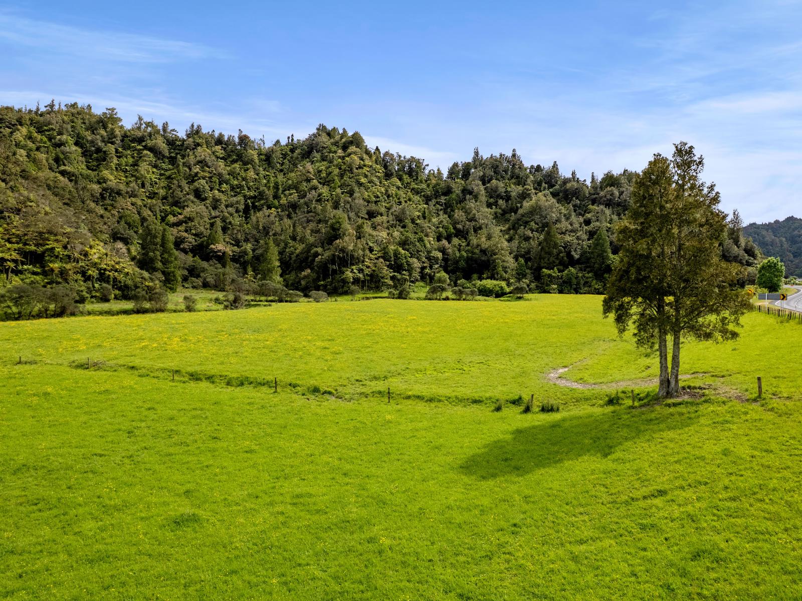 3133 Mokau Road, Mokau