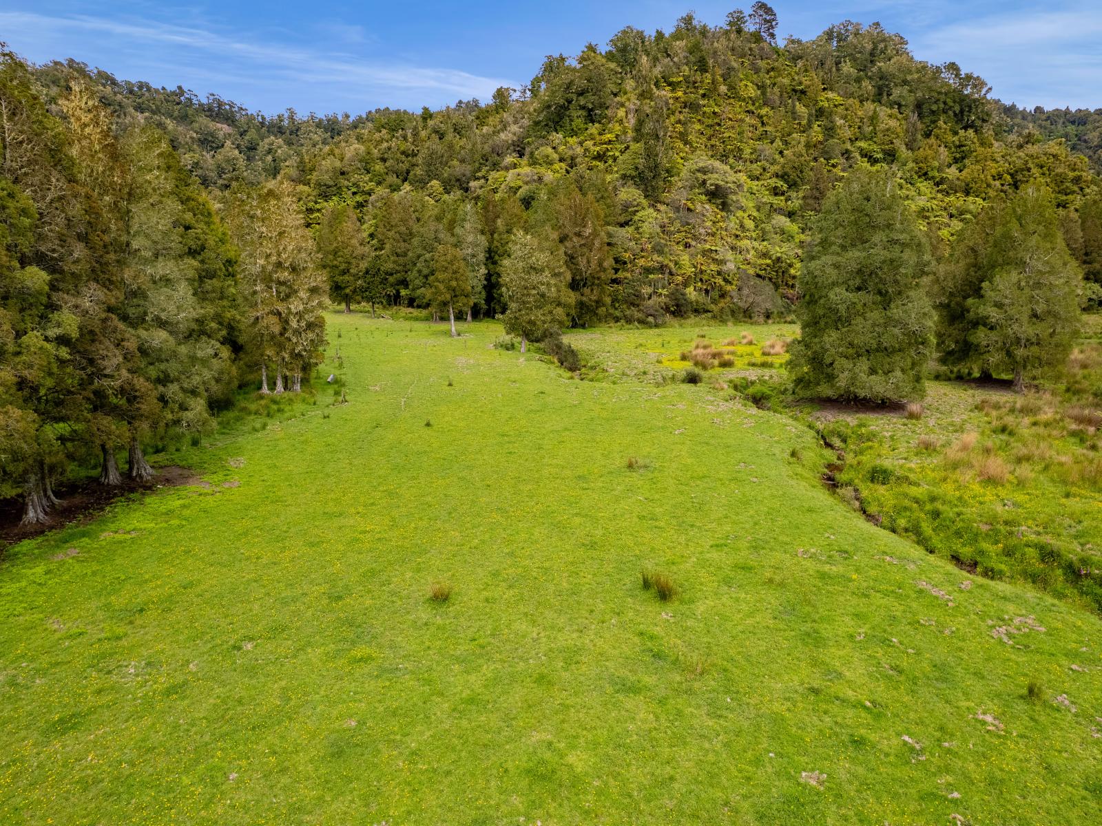3133 Mokau Road, Mokau
