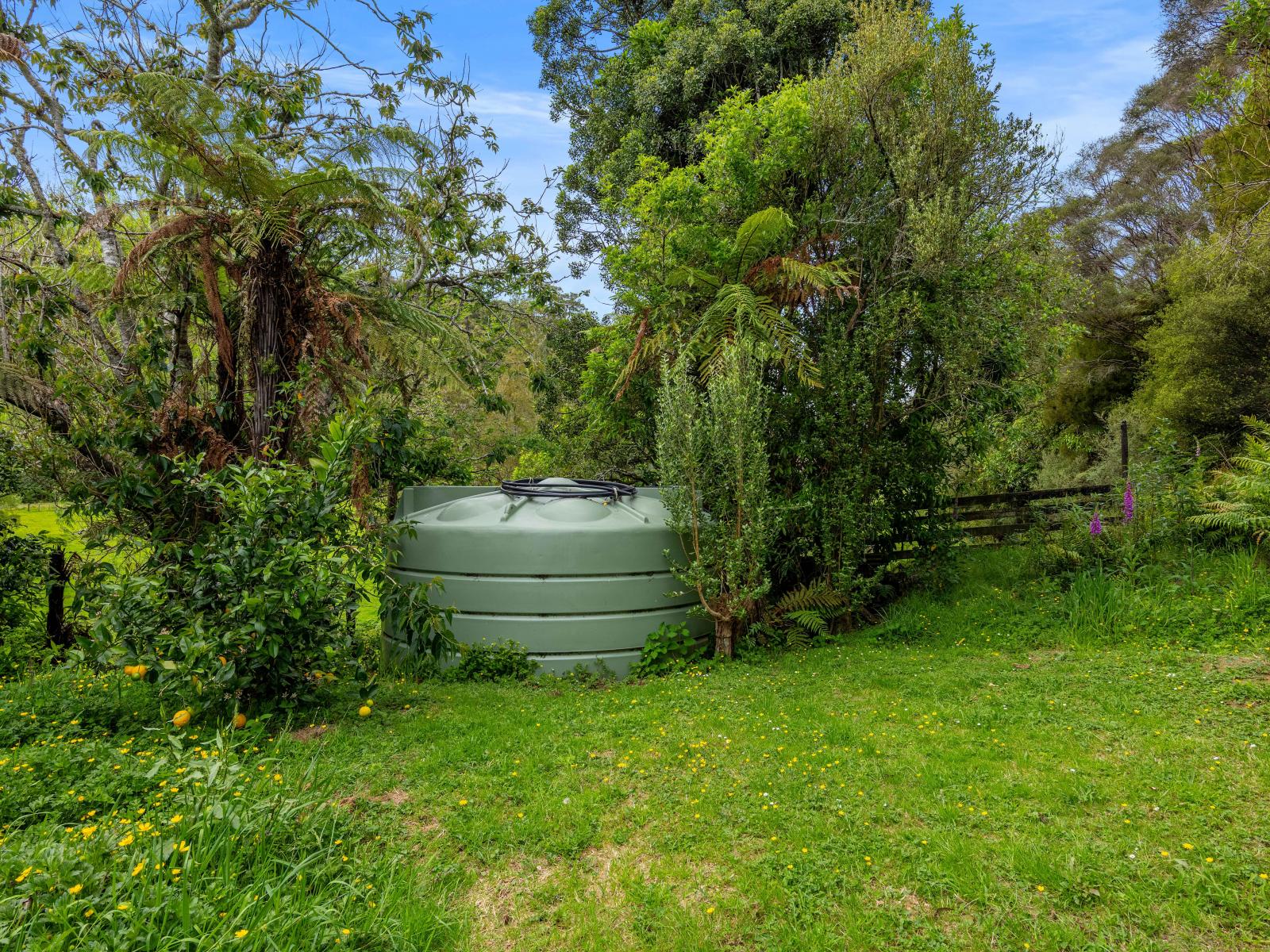 3133 Mokau Road, Mokau