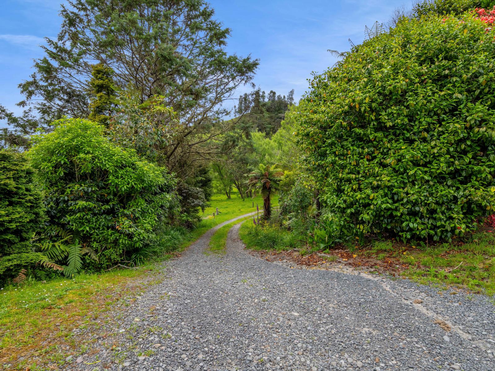 3133 Mokau Road, Mokau
