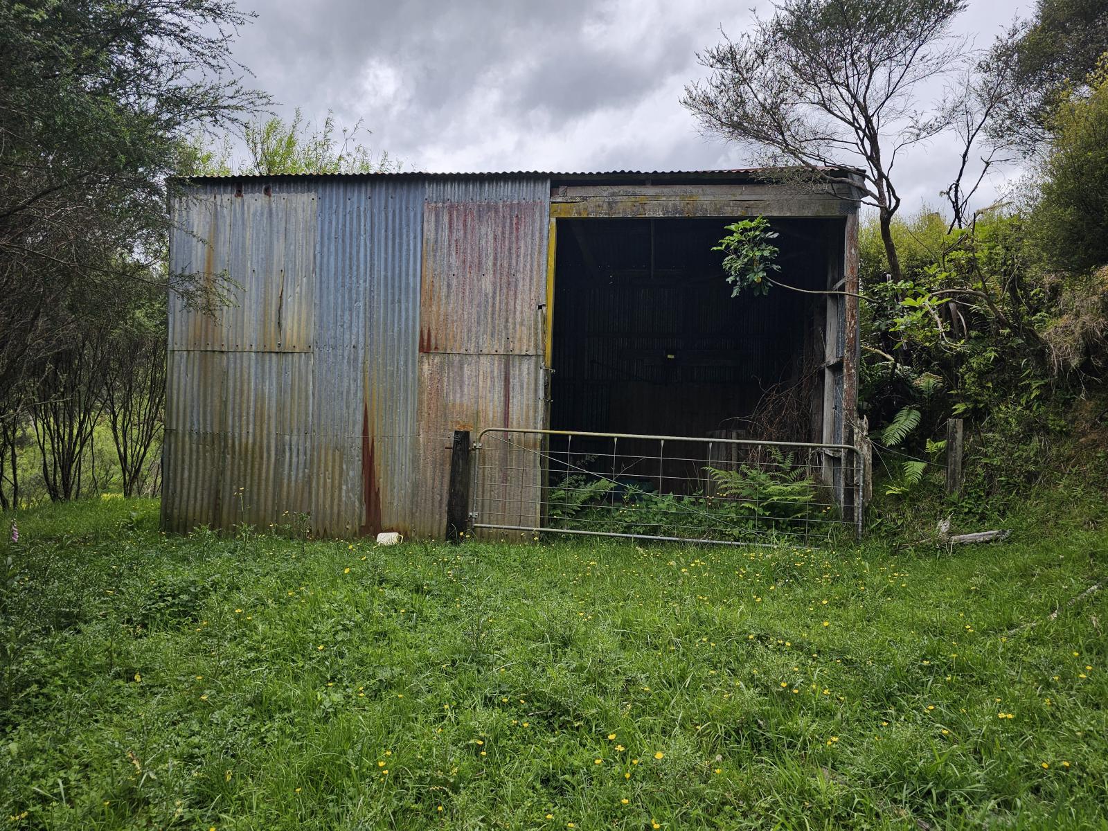 3133 Mokau Road, Mokau