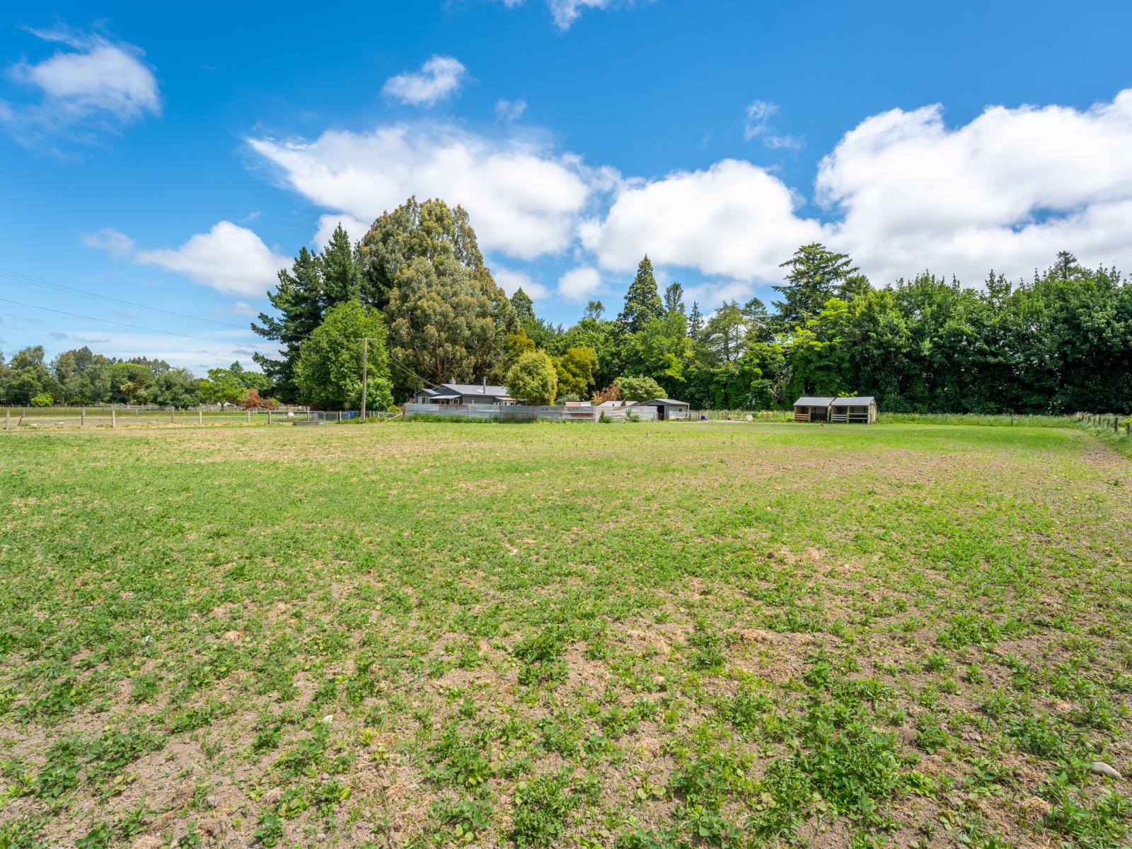 991 Temuka-Orari Highway, Orari