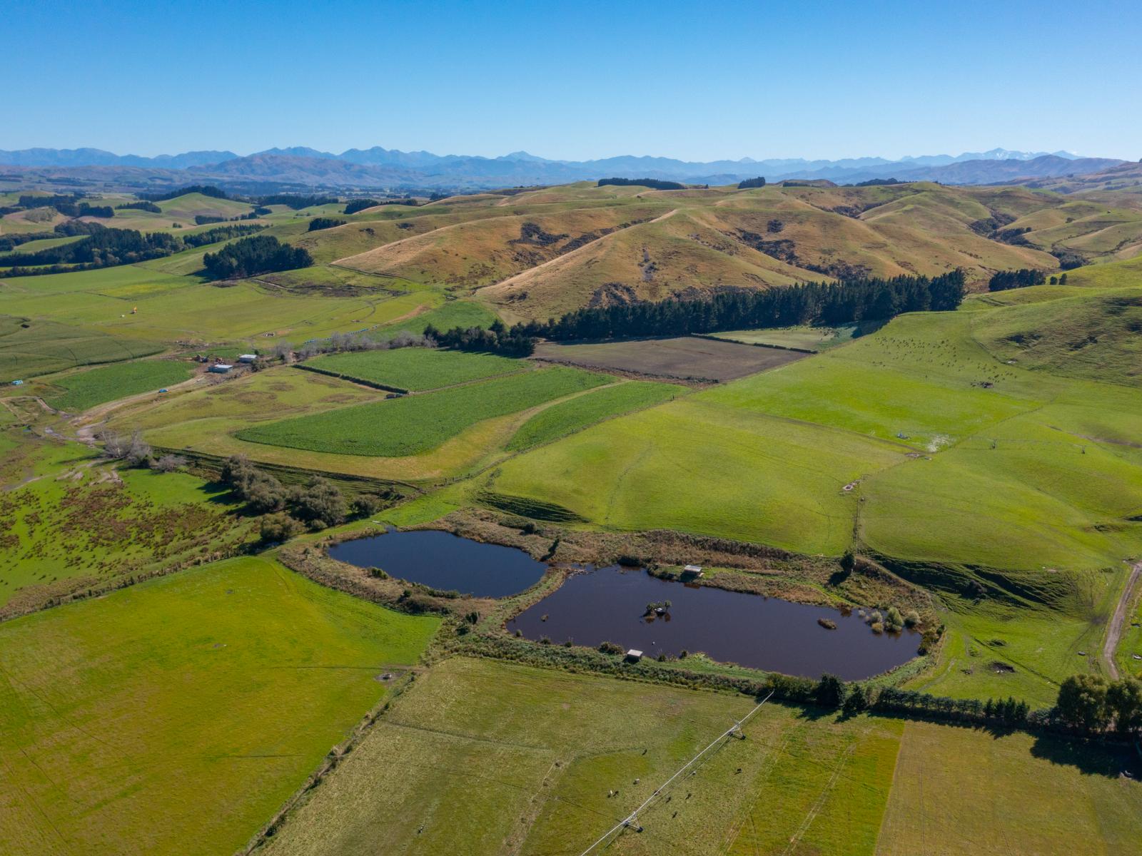 359 Hurunui Mouth Road, Domett