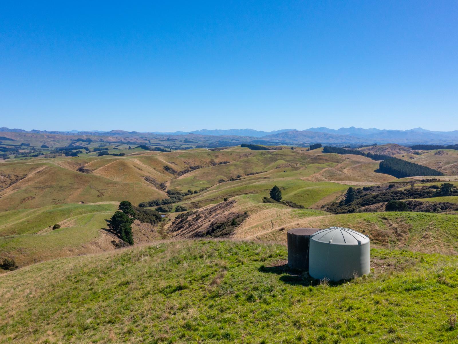 359 Hurunui Mouth Road, Domett