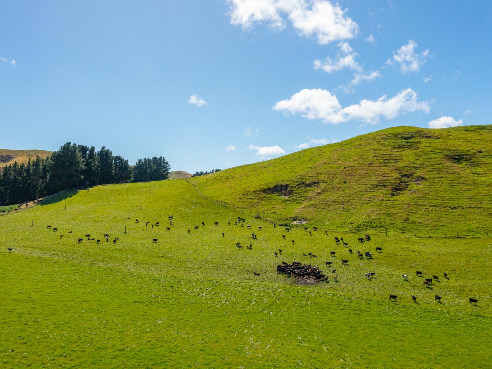 359 Hurunui Mouth Road, Domett