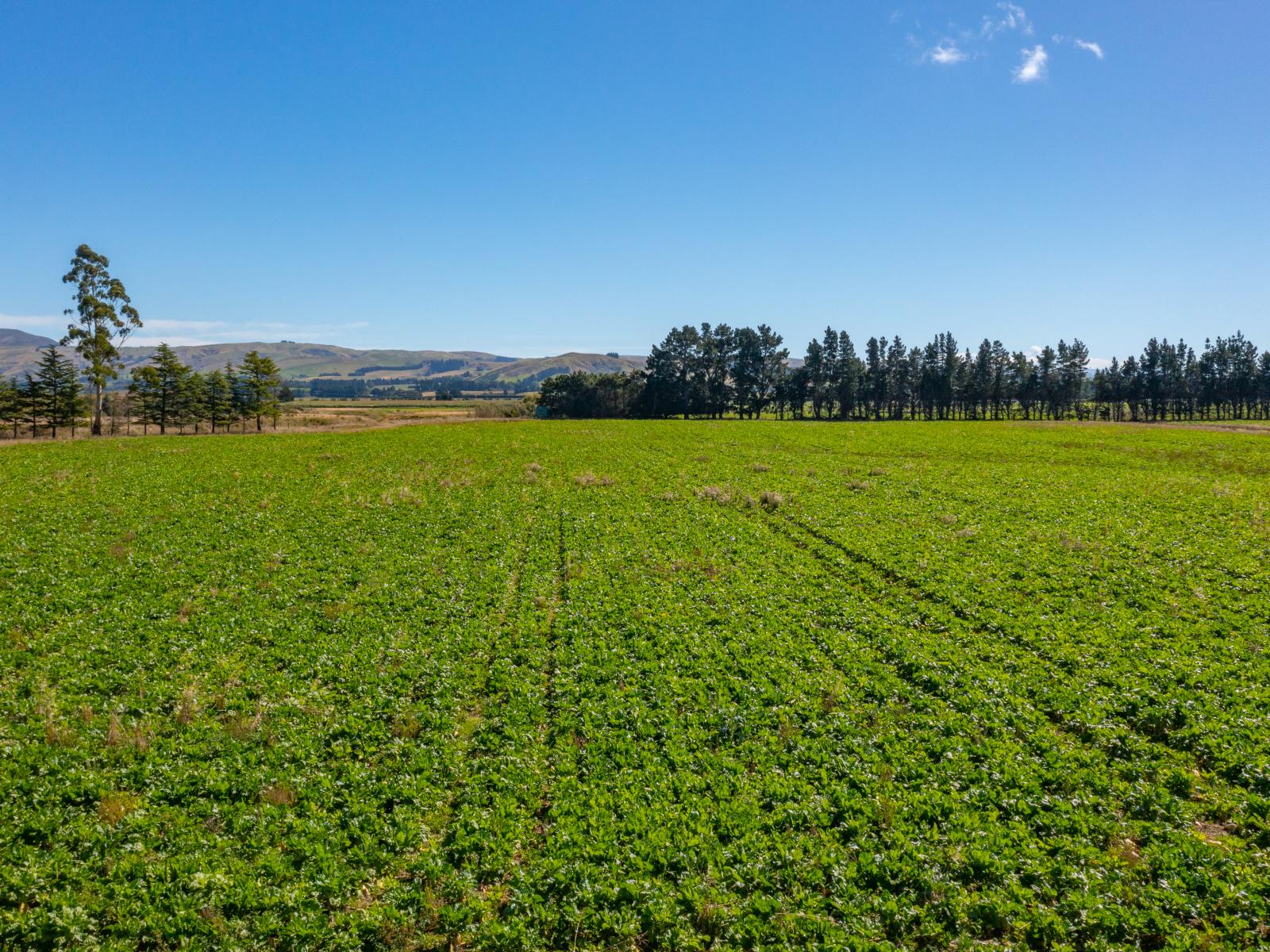 359 Hurunui Mouth Road, Domett