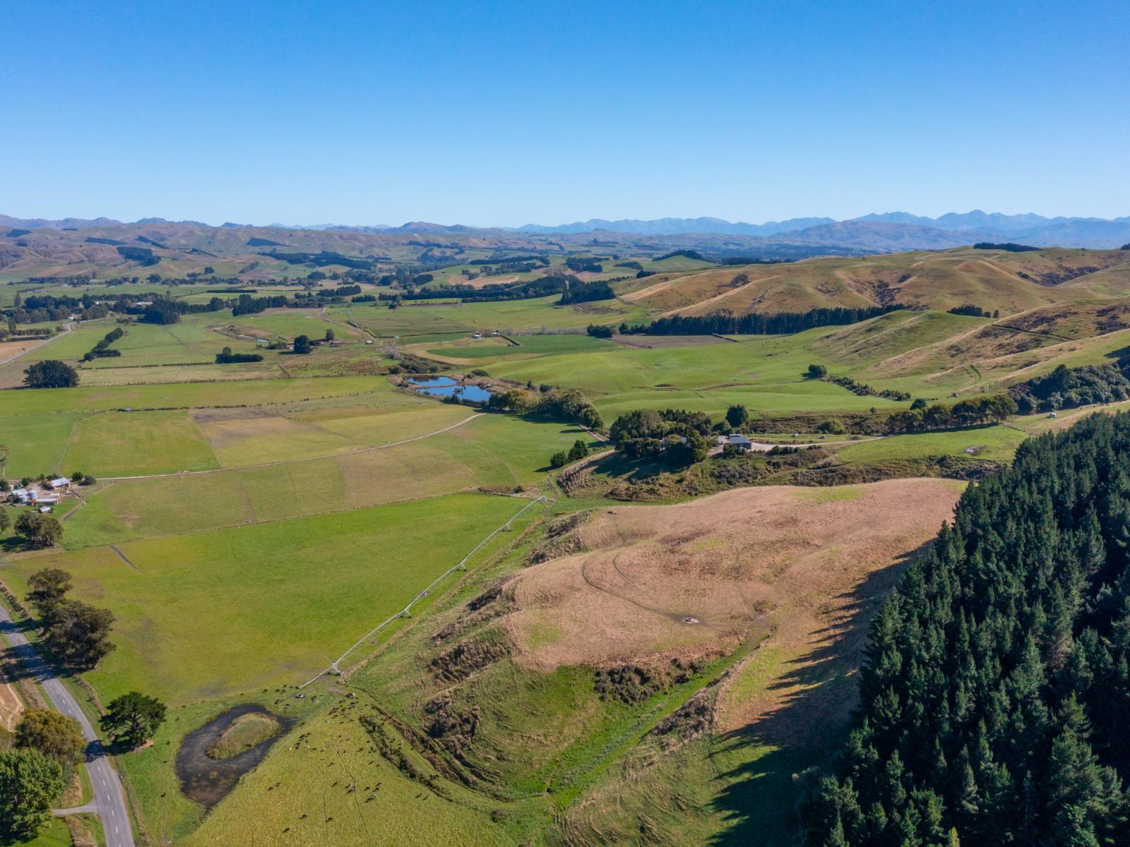 359 Hurunui Mouth Road, Domett