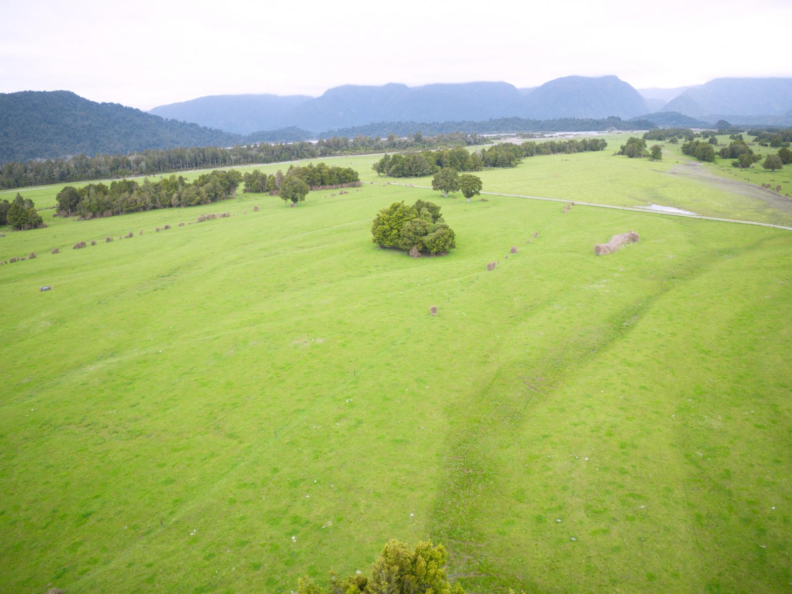 598 Waiho Flat Road, Waiho