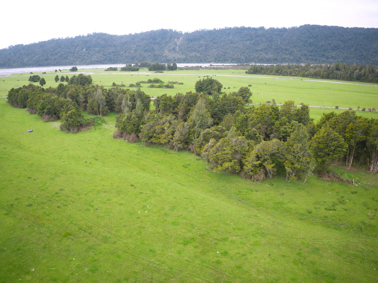 598 Waiho Flat Road, Waiho