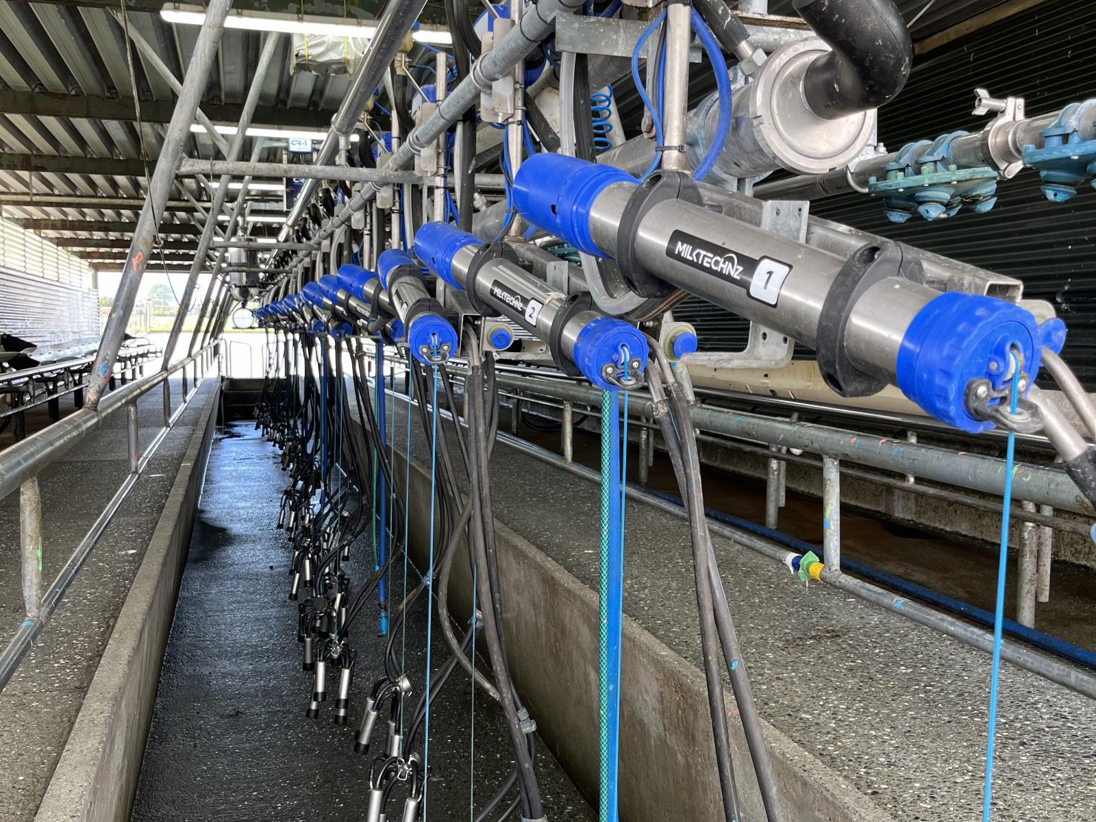 28 Stopbank Road, Kowhitirangi