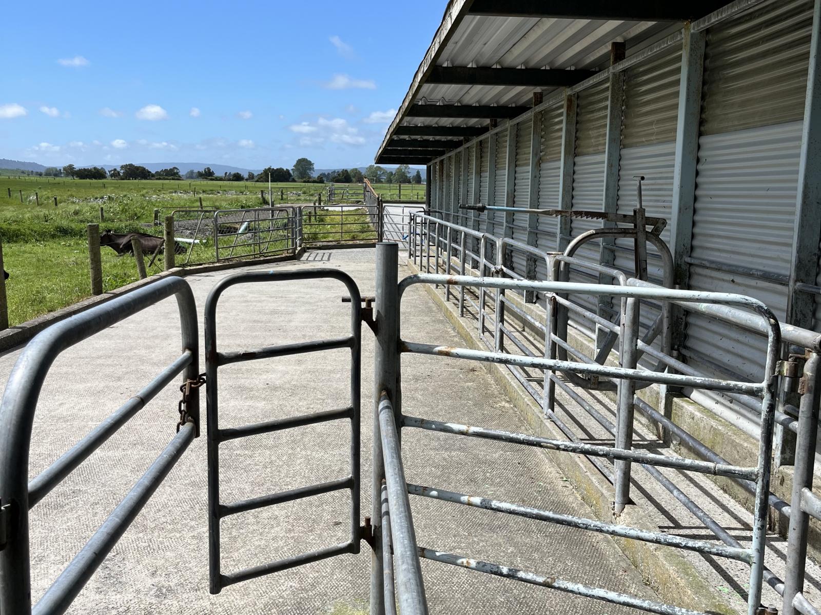 28 Stopbank Road, Kowhitirangi