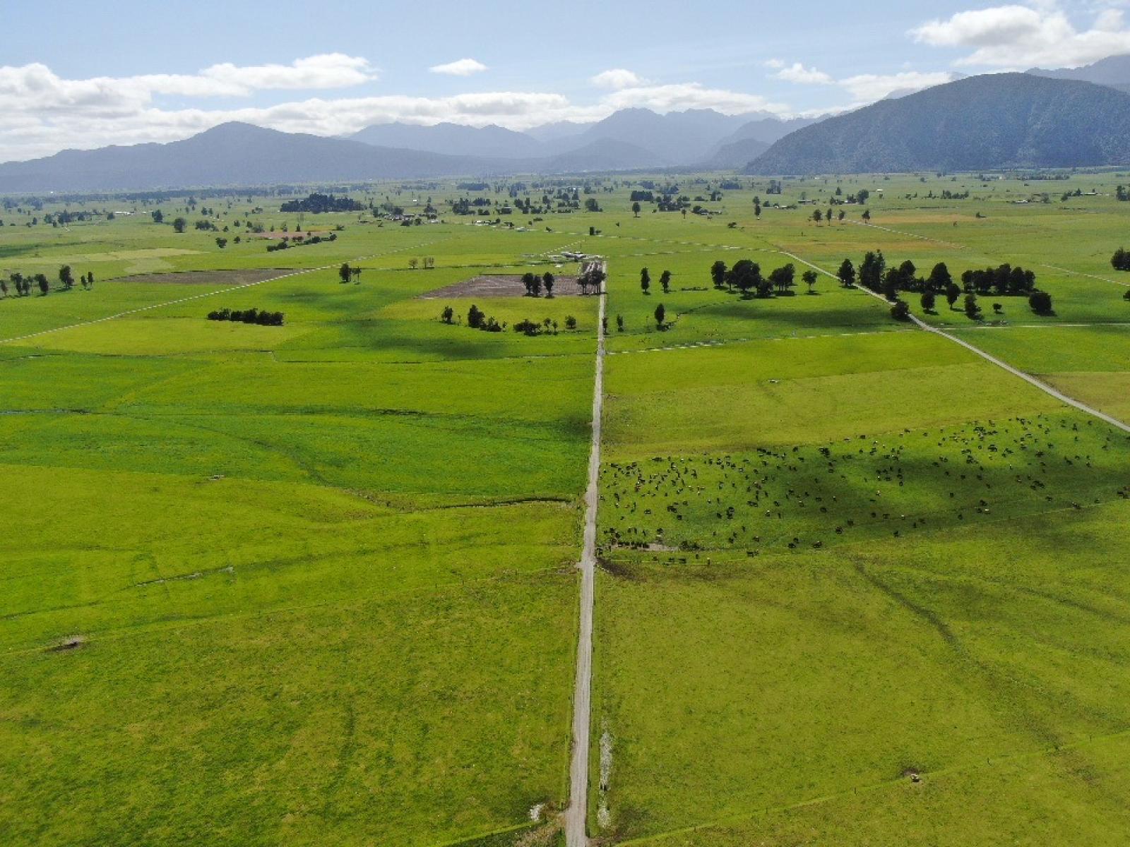 28 Stopbank Road, Kowhitirangi